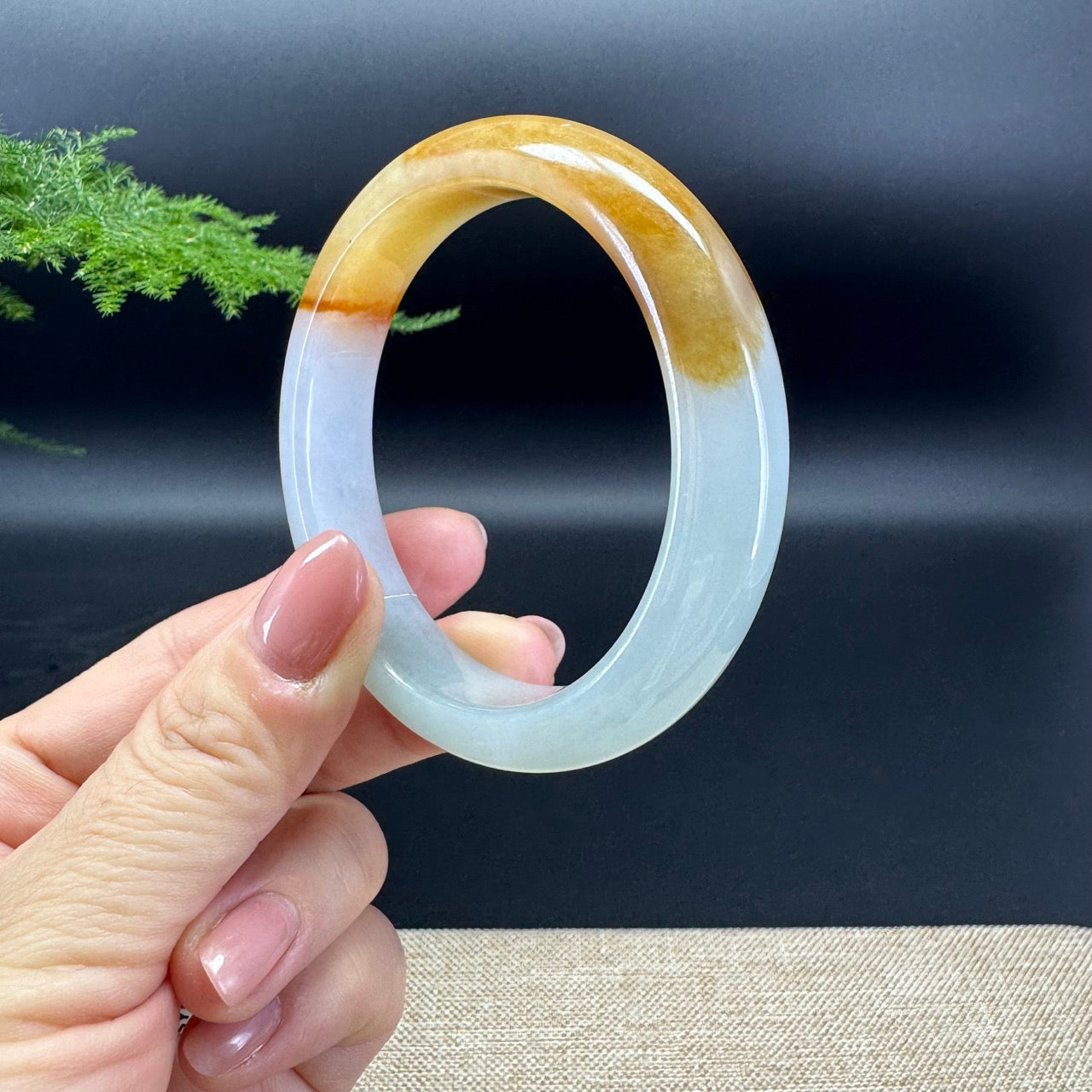 Genuine Burmese Yellow Jadeite Jade Bangle Bracelet ( 56.7mm)