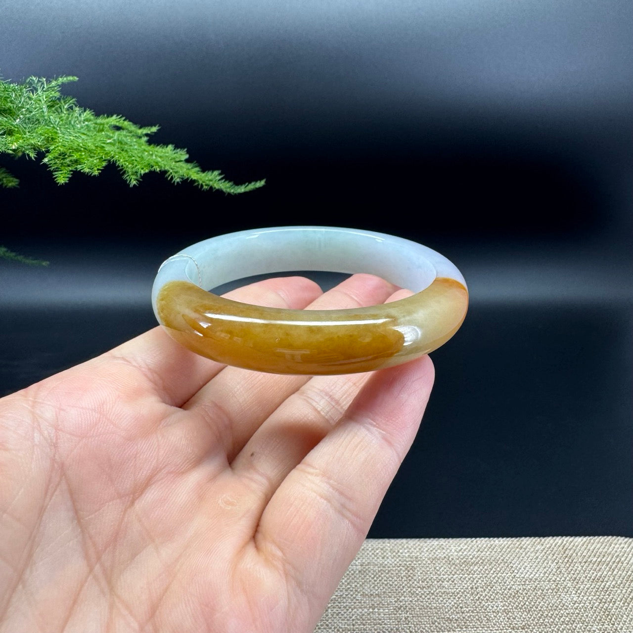 Genuine Burmese Yellow Jadeite Jade Bangle Bracelet ( 56.7mm)