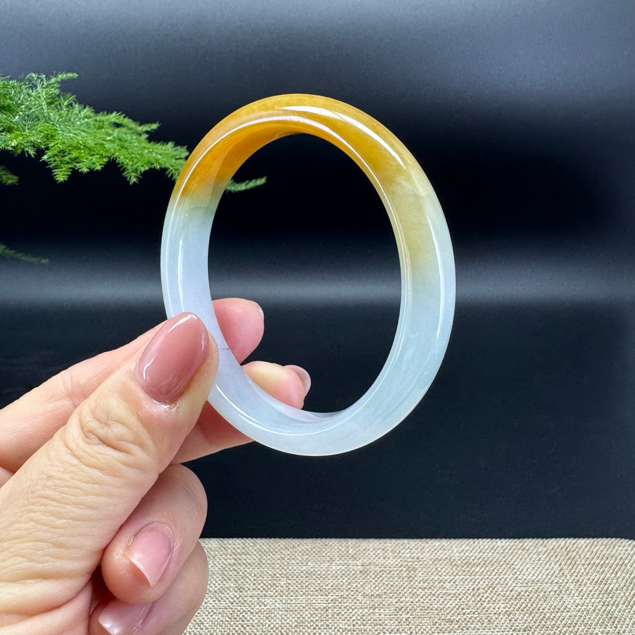 Genuine Burmese Icy Yellow Jadeite Jade Bangle Bracelet ( 53mm)