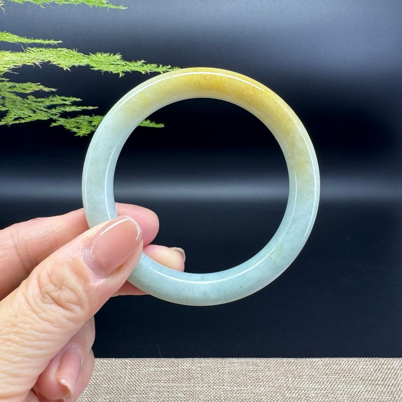 Genuine Burmese Yellow Green Jade Jadeite Bangle Bracelet ( 54.1mm )