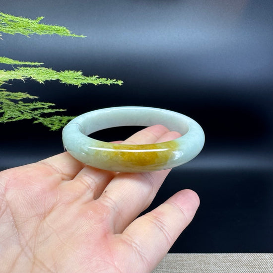 Genuine Burmese Light Green Yellow Jadeite Jade Bangle Bracelet ( 55.6mm )