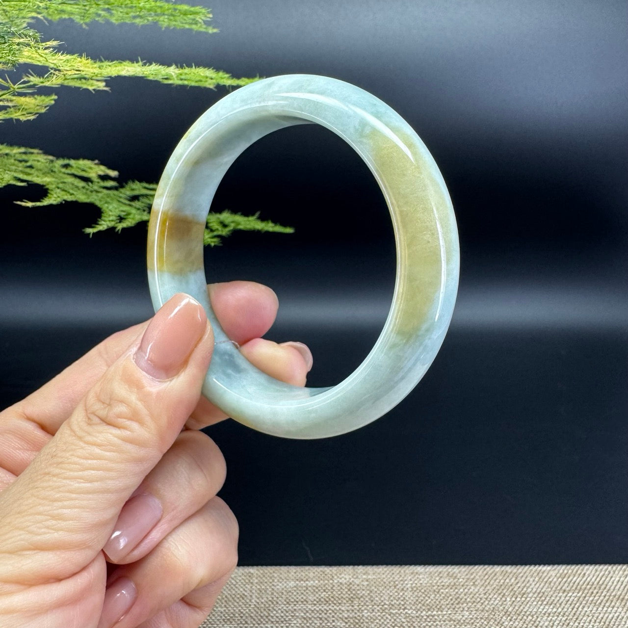 Genuine Burmese Icy Yellow Jade Jadeite Bangle Bracelet ( 54.8mm )