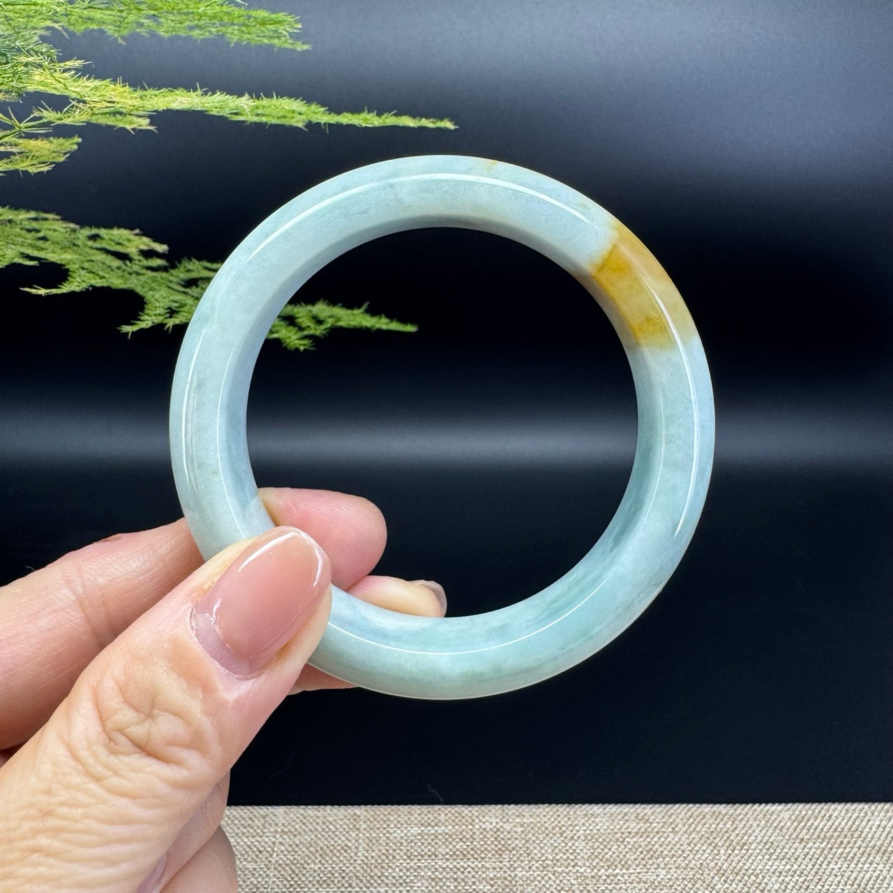 Genuine Burmese Icy Yellow Jade Jadeite Bangle Bracelet ( 54.8mm )