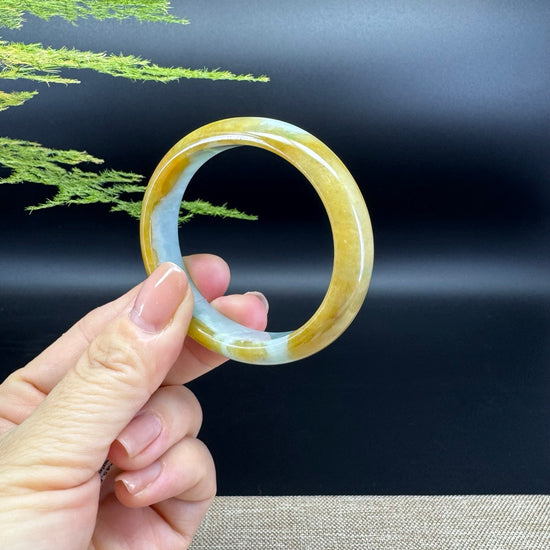 Genuine Burmese Yellow Green Jade Jadeite Bangle Bracelet ( 54*45.8mm )