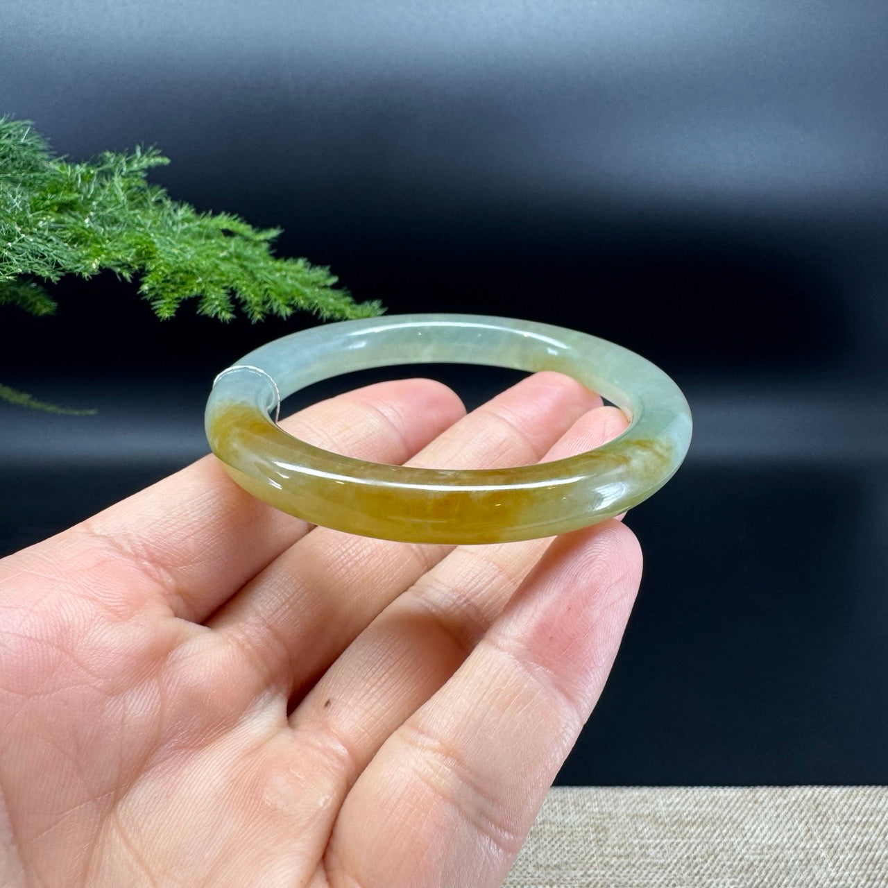 Genuine Burmese Yellow Jade Jadeite Bangle Bracelet (51.9mm)