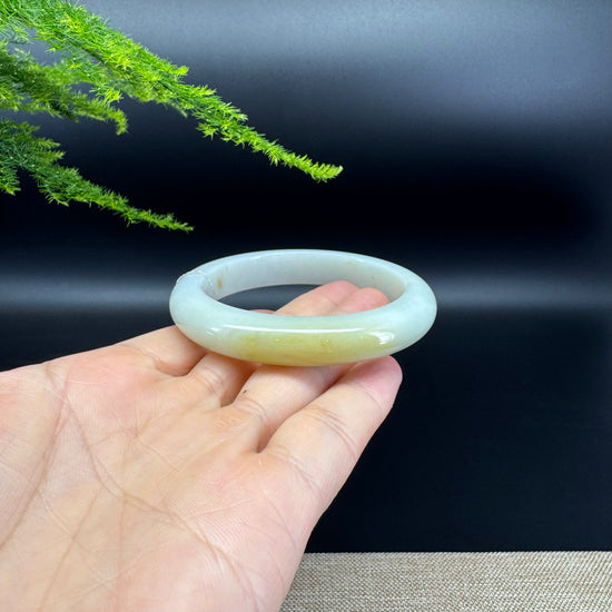 Genuine Burmese Yellow Green Jade Jadeite Bangle Bracelet ( 55.6mm )