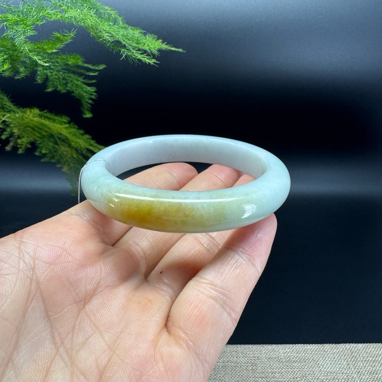 Genuine Burmese Yellow Green Jadeite Jade Bangle Bracelet (58.3mm)