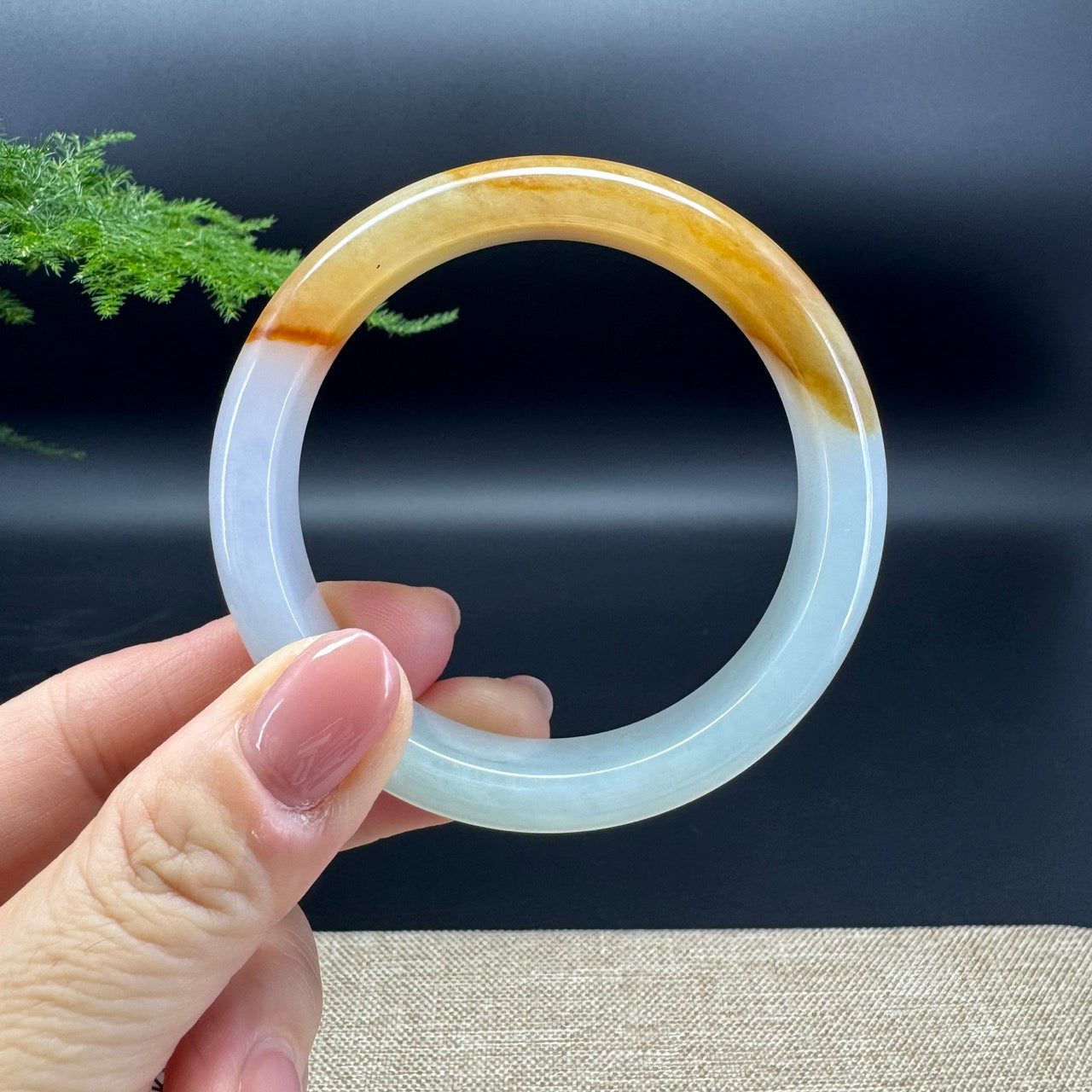 Genuine Burmese Yellow Jadeite Jade Bangle Bracelet ( 56.7mm)