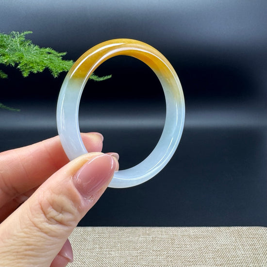 Genuine Burmese Icy Yellow Jadeite Jade Bangle Bracelet ( 53mm)