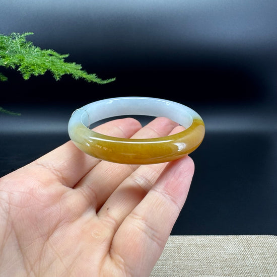 Genuine Burmese Icy Yellow Jadeite Jade Bangle Bracelet ( 53mm)