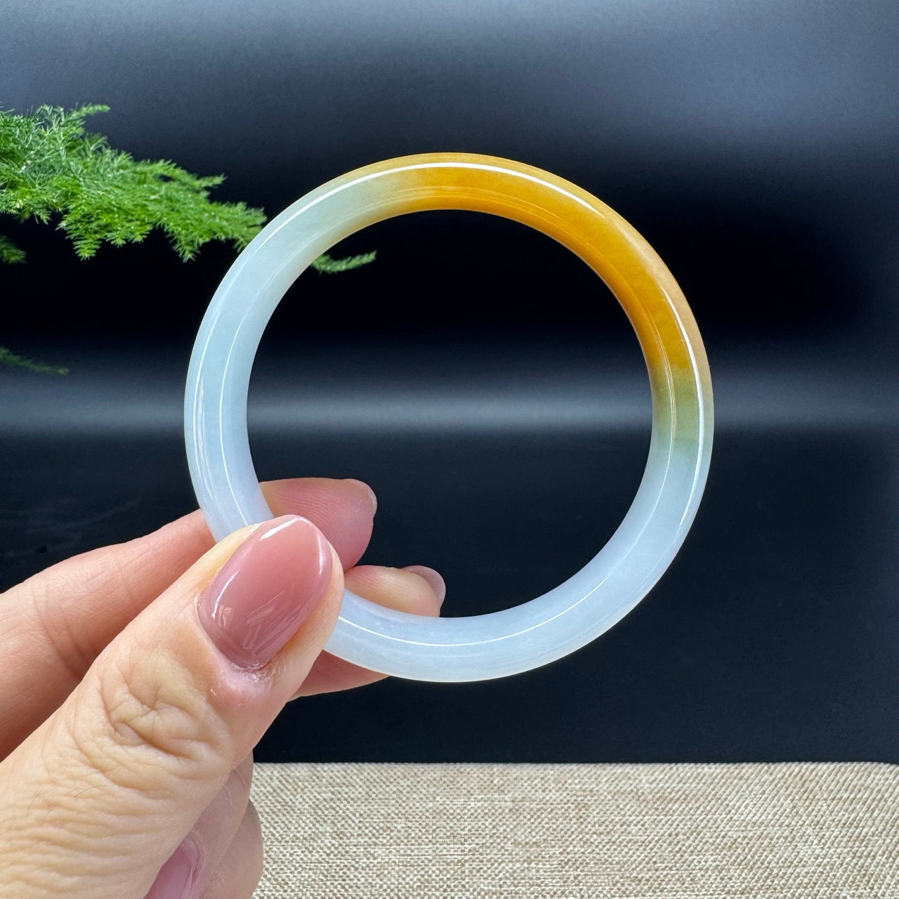 Genuine Burmese Icy Yellow Jadeite Jade Bangle Bracelet ( 53mm)