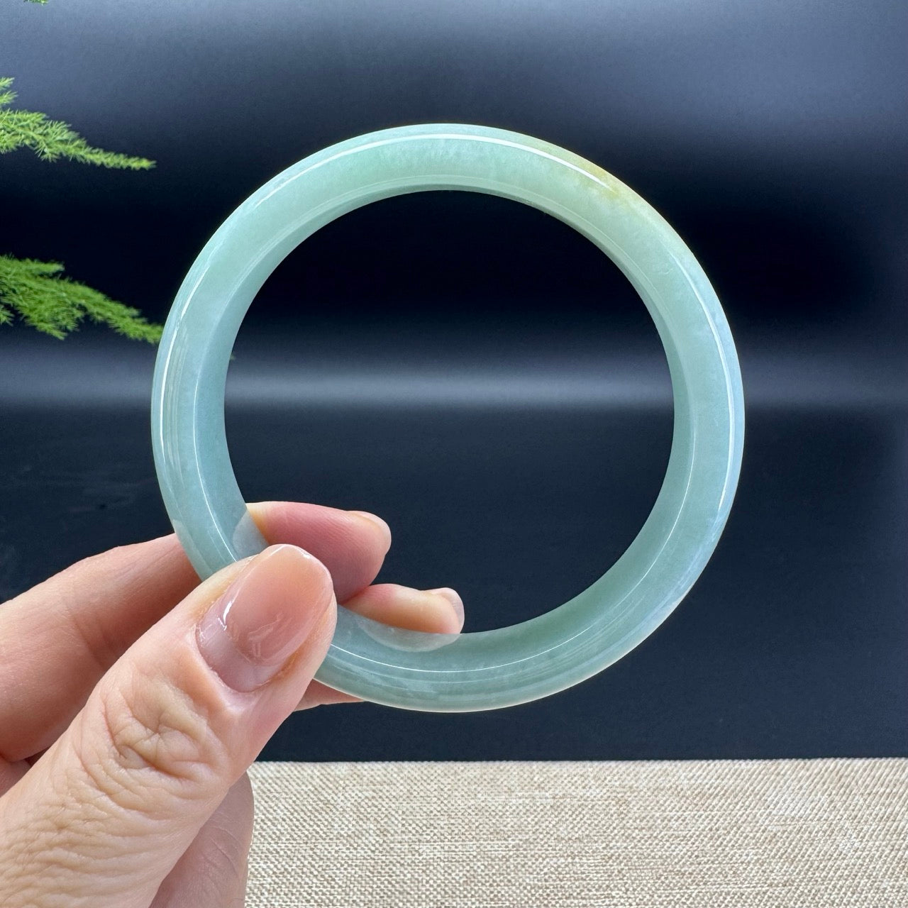 Genuine Burmese Apple Yellow Green Jade Jadeite Bangle Bracelet ( 60.8mm )