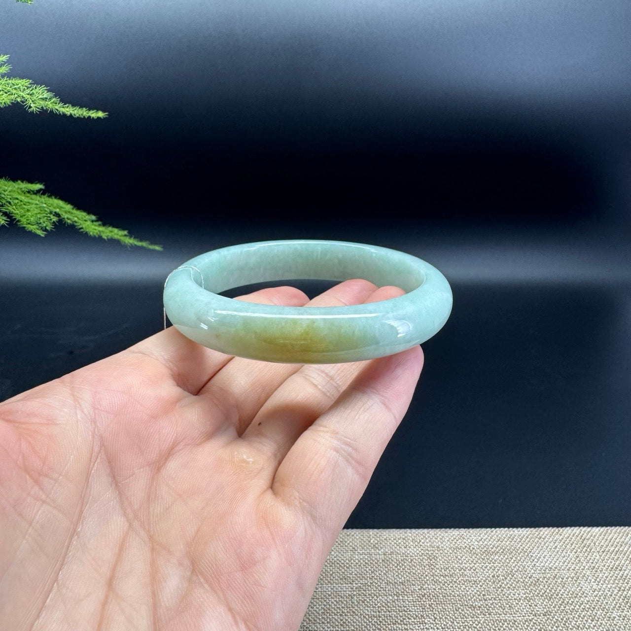 Genuine Burmese Apple Yellow Green Jade Jadeite Bangle Bracelet ( 60.8mm )
