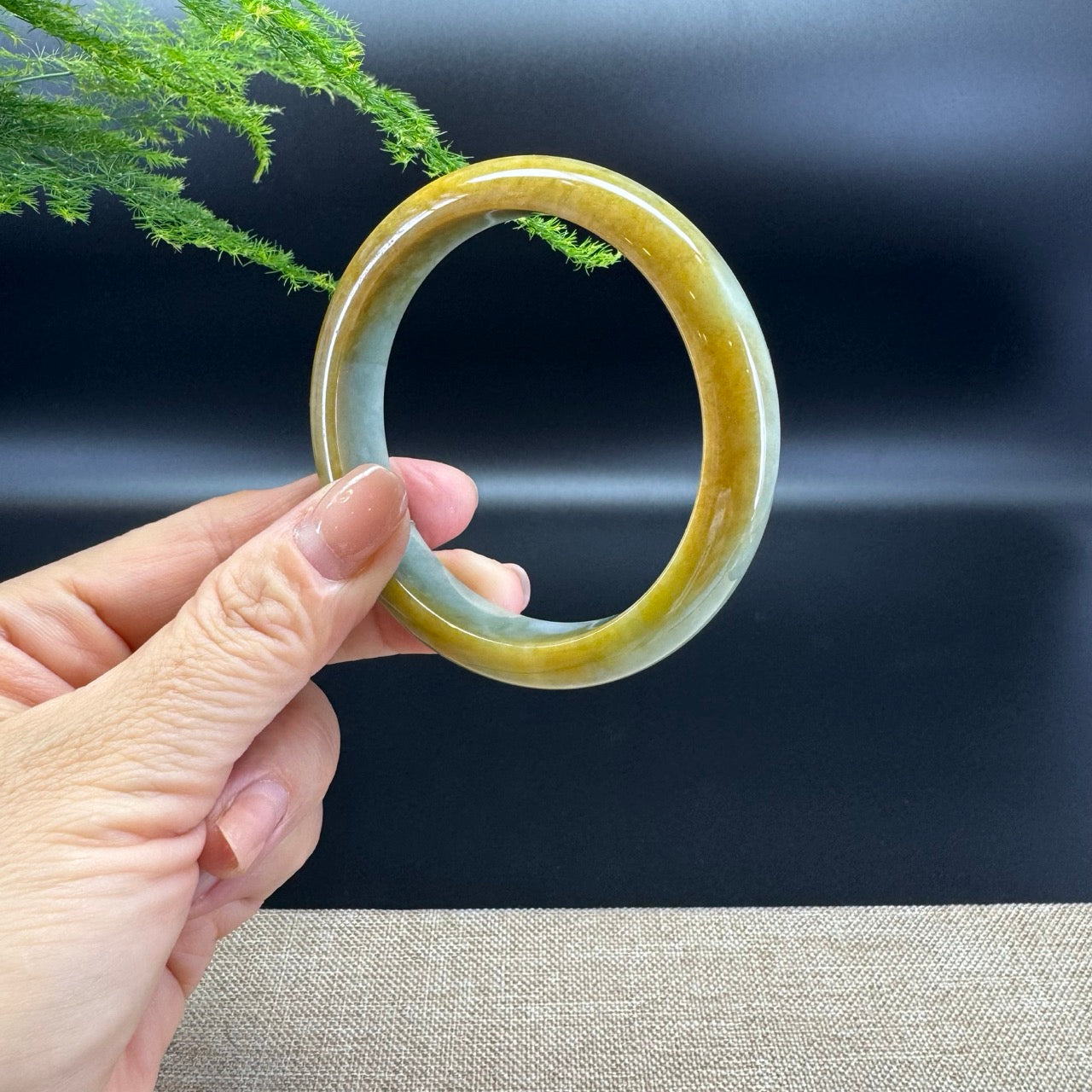 Genuine Burmese Yellow Green Jade Jadeite Bangle Bracelet ( 58.9mm )