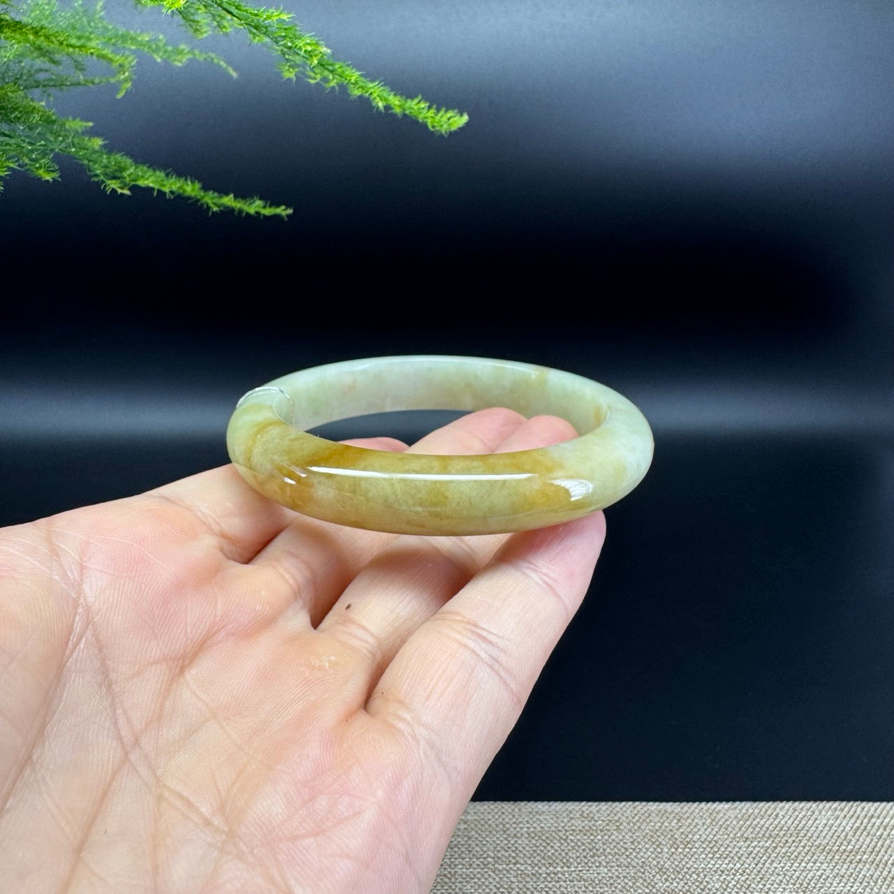 Genuine Burmese Honey Yellow Jade Jadeite Bangle Bracelet ( 56.5mm )