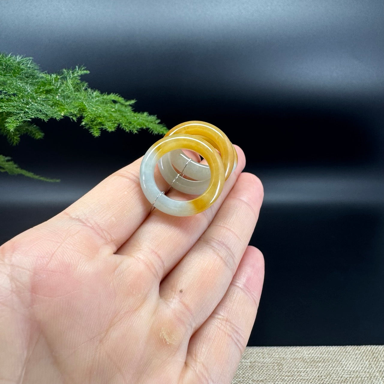 RealJade® Burmese Honey Yellow Traditional Jadeite Jade Ring