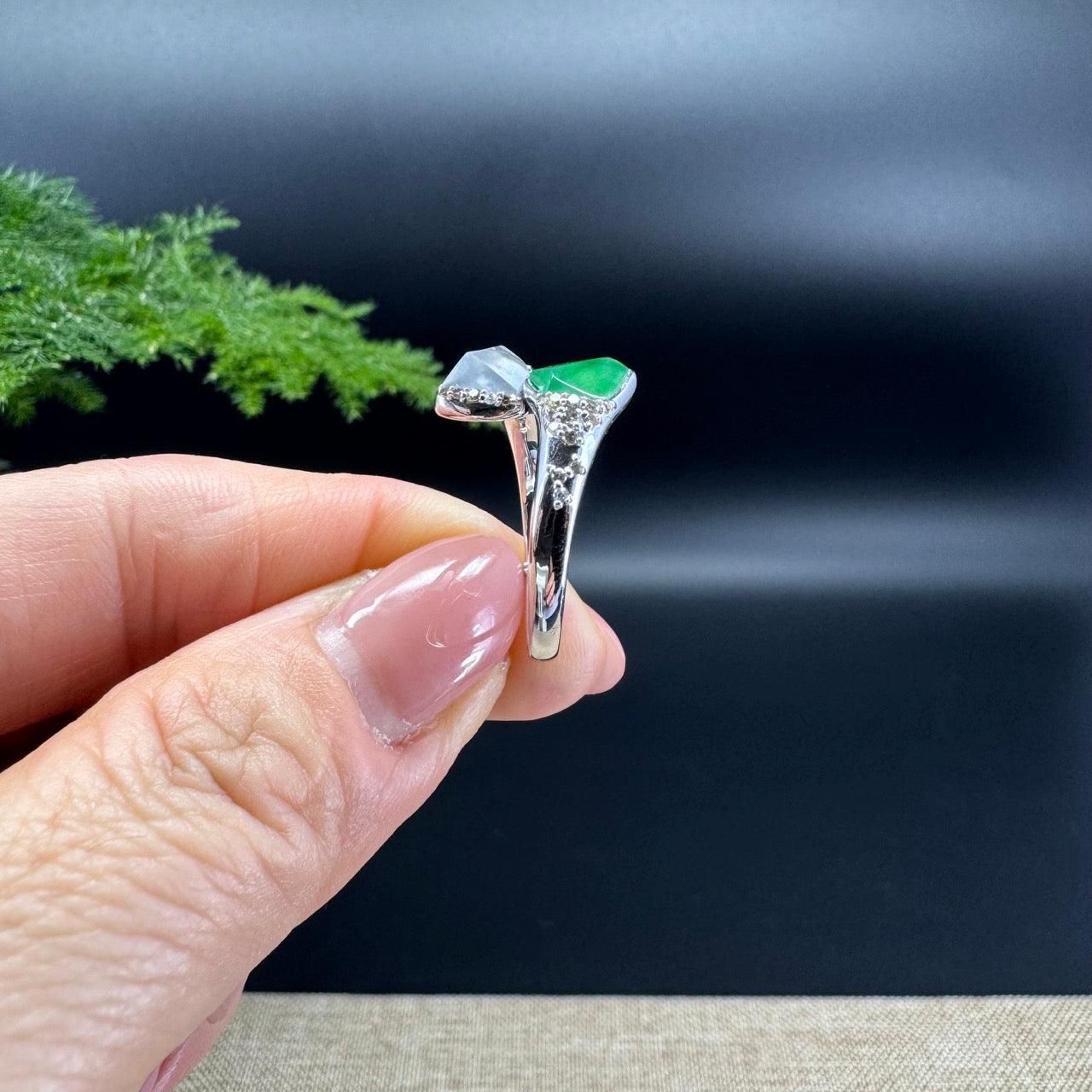 RealJade® 18k White Gold Natural Icy&Green Jadeite Ring With Diamonds