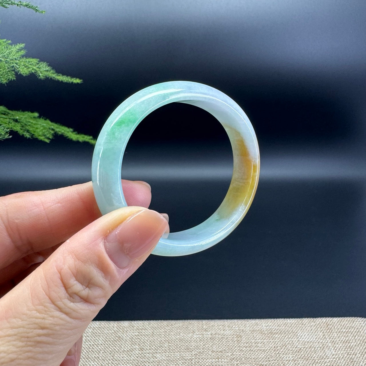 Genuine Burmese Yellow Green Jade Jadeite Bangle Bracelet ( 51.9*45.1mm )
