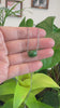 RealJade® Co. RealJade® Co. "Good Luck Button" Necklace Nephrite Green Jade Lucky TongTong Pendant Necklace
