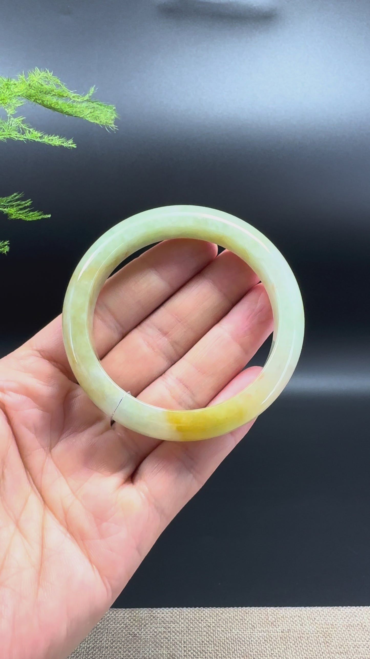 Load and play video in Gallery viewer, Genuine Burmese Yellow Green Jade Jadeite Bangle Bracelet ( 52.7mm )
