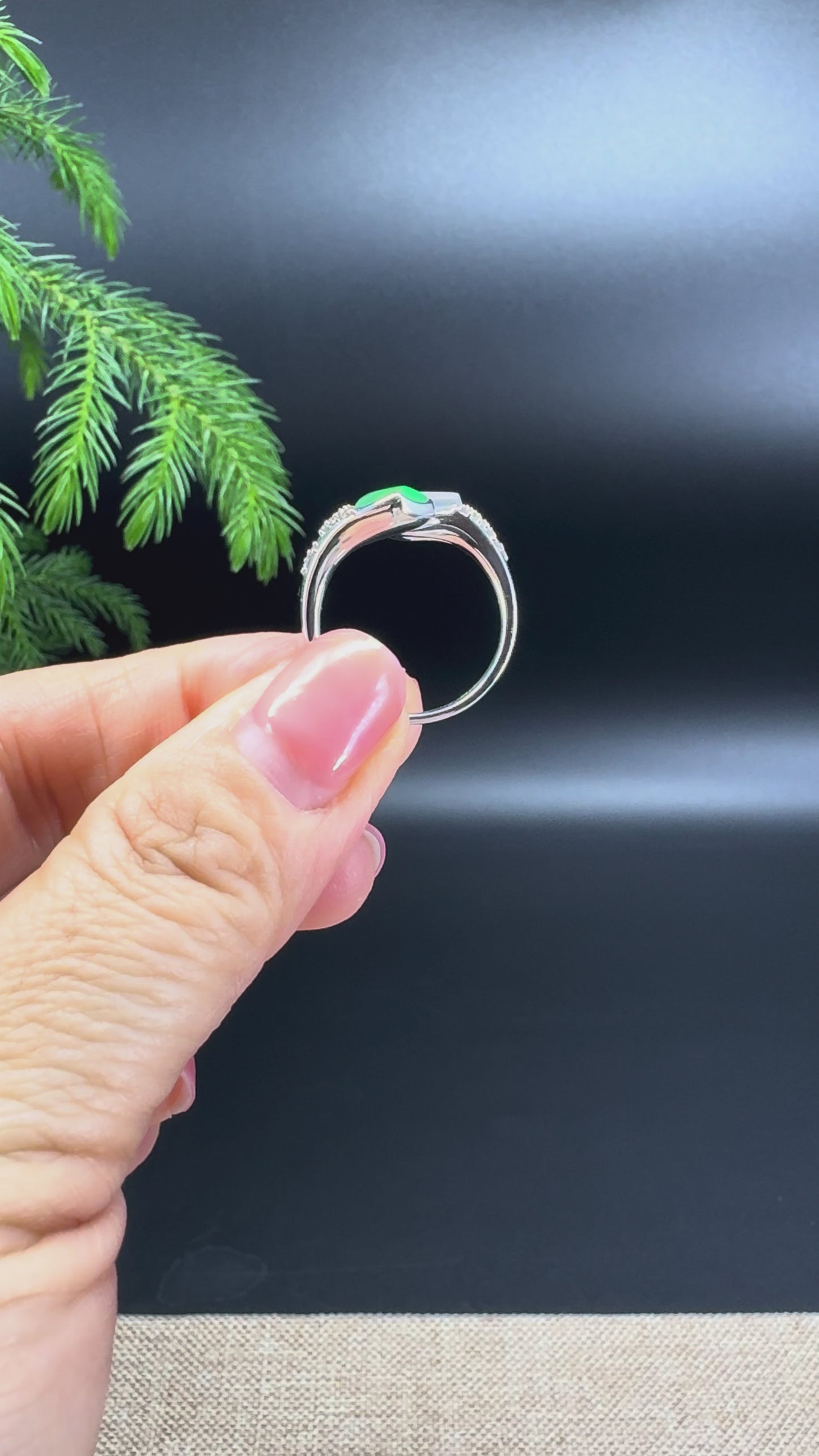 RealJade® 18k White Gold Natural Icy&Green Jadeite Ring With Diamonds