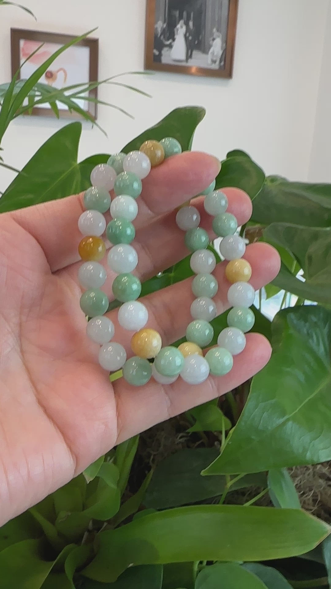 Load and play video in Gallery viewer, RealJade® Co. Genuine Jadeite Jade Round Multiple Colors Beads Bracelet (9.5 mm)
