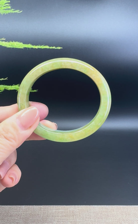 Load and play video in Gallery viewer, Genuine Burmese Yellow Green Jade Jadeite Bangle Bracelet ( 54.5*47mm )
