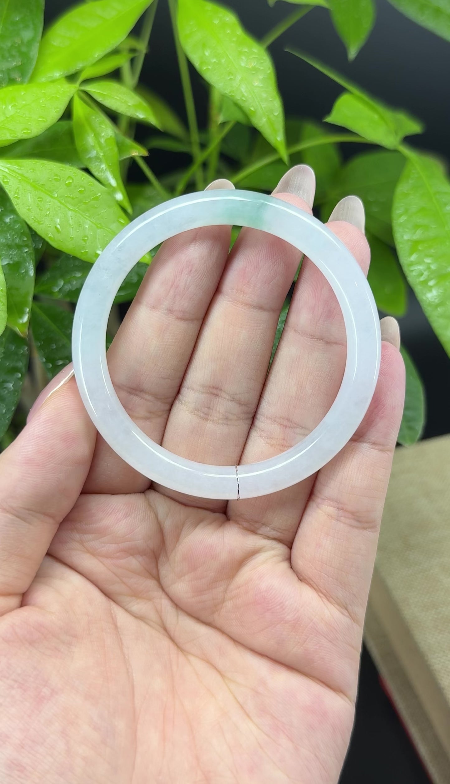 Genuine Burmese Icy Green Jade Jadeite Bangle Bracelet (49.8mm)