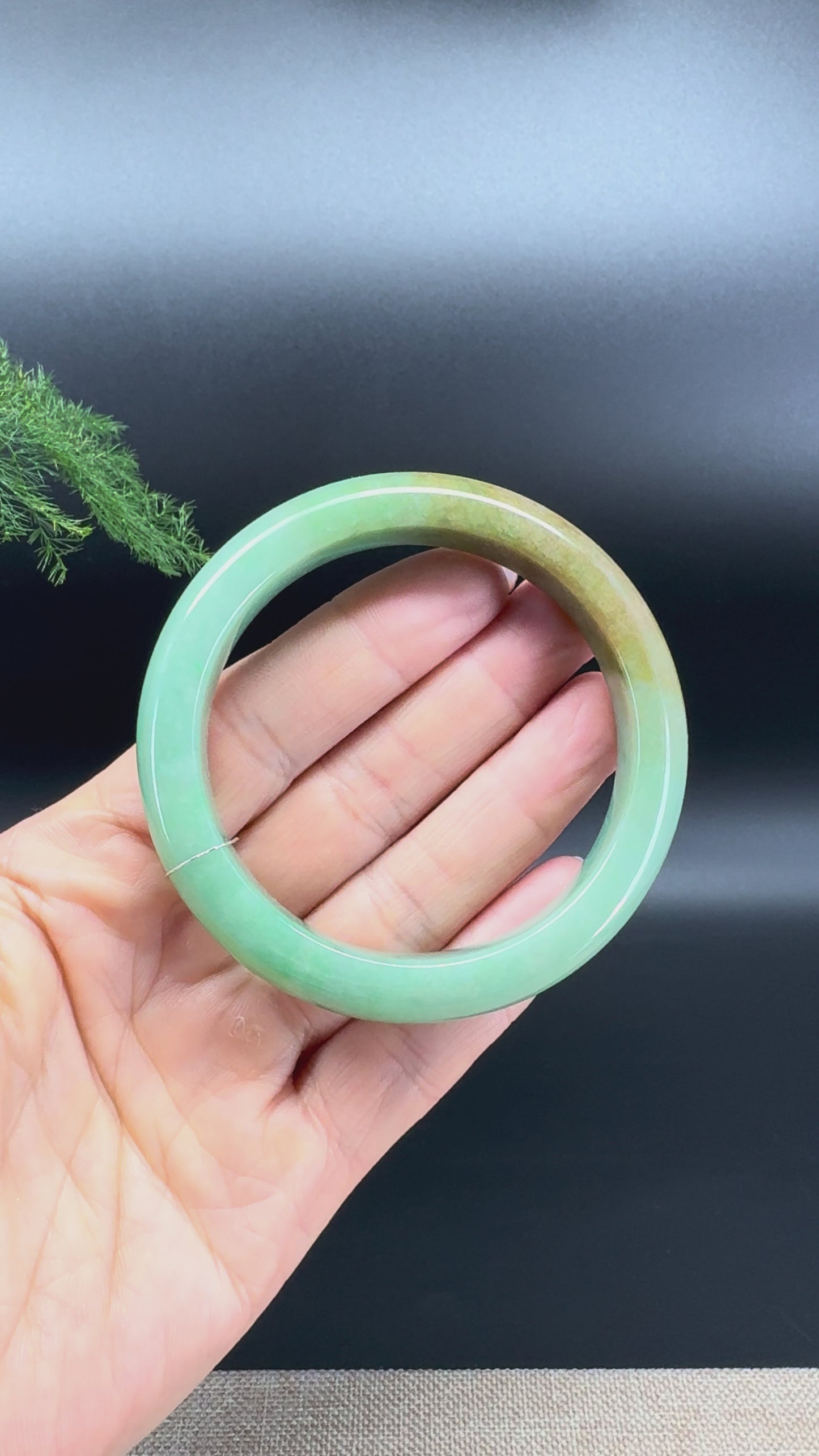 Load and play video in Gallery viewer, Genuine Burmese Yellowish-Brown Green Jade Jadeite Bangle Bracelet ( 55.9mm )
