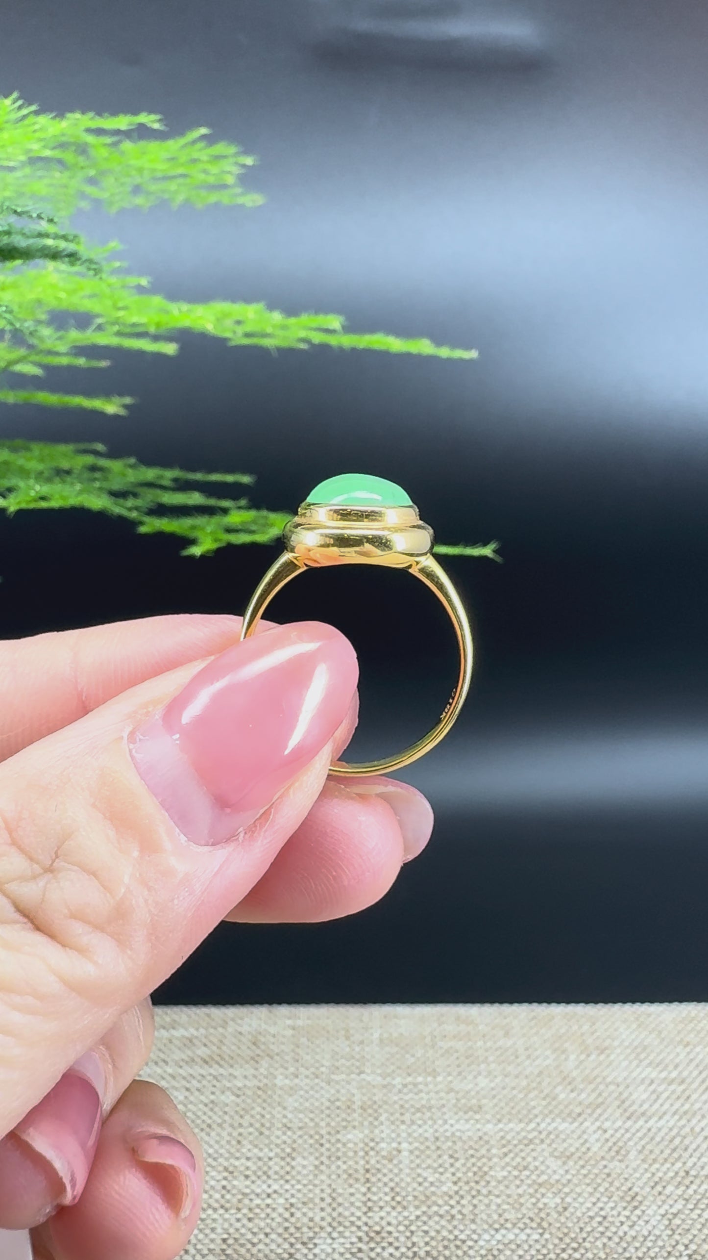 RealJade® "Signature Signet" 18K Yellow Gold Green Jadeite Jade Classic Ring