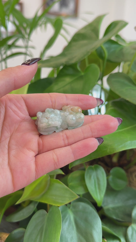 Load and play video in Gallery viewer, RealJade® Co. RealJade® Co. Pi Xiu Genuine Burmese Translucent Jadeite Jade PiXiu Pendant Necklace (FengShui Lucky)
