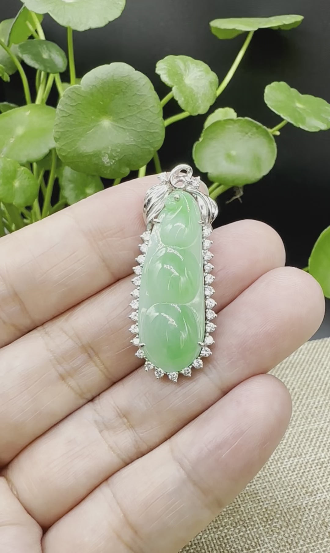 Load and play video in Gallery viewer, High end Genuine Burmese Ice Green Jadeite Pendant with 18k White Gold Bail
