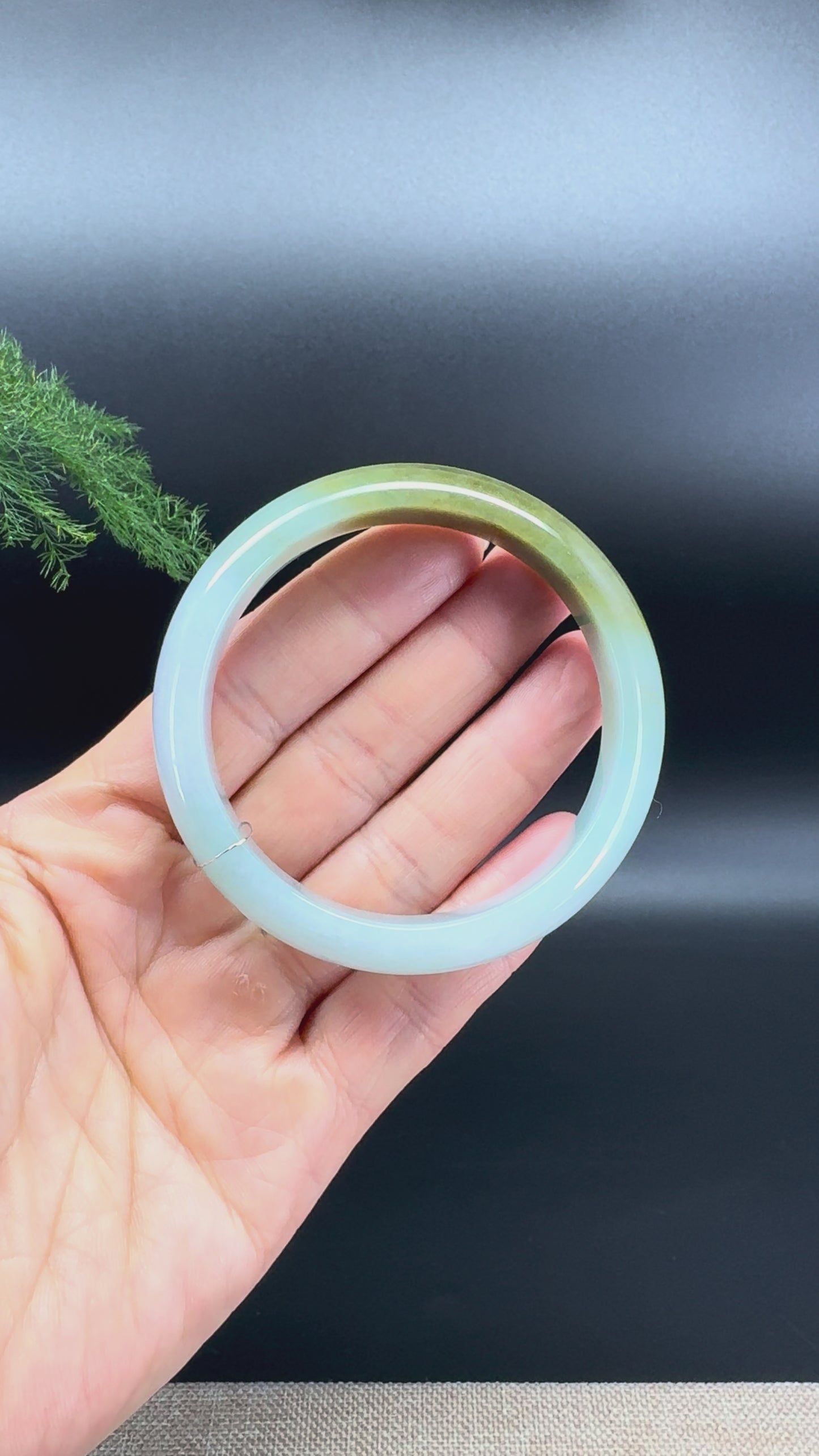 Genuine Burmese Yellow Green Jade Jadeite Bangle Bracelet ( 54.7mm )