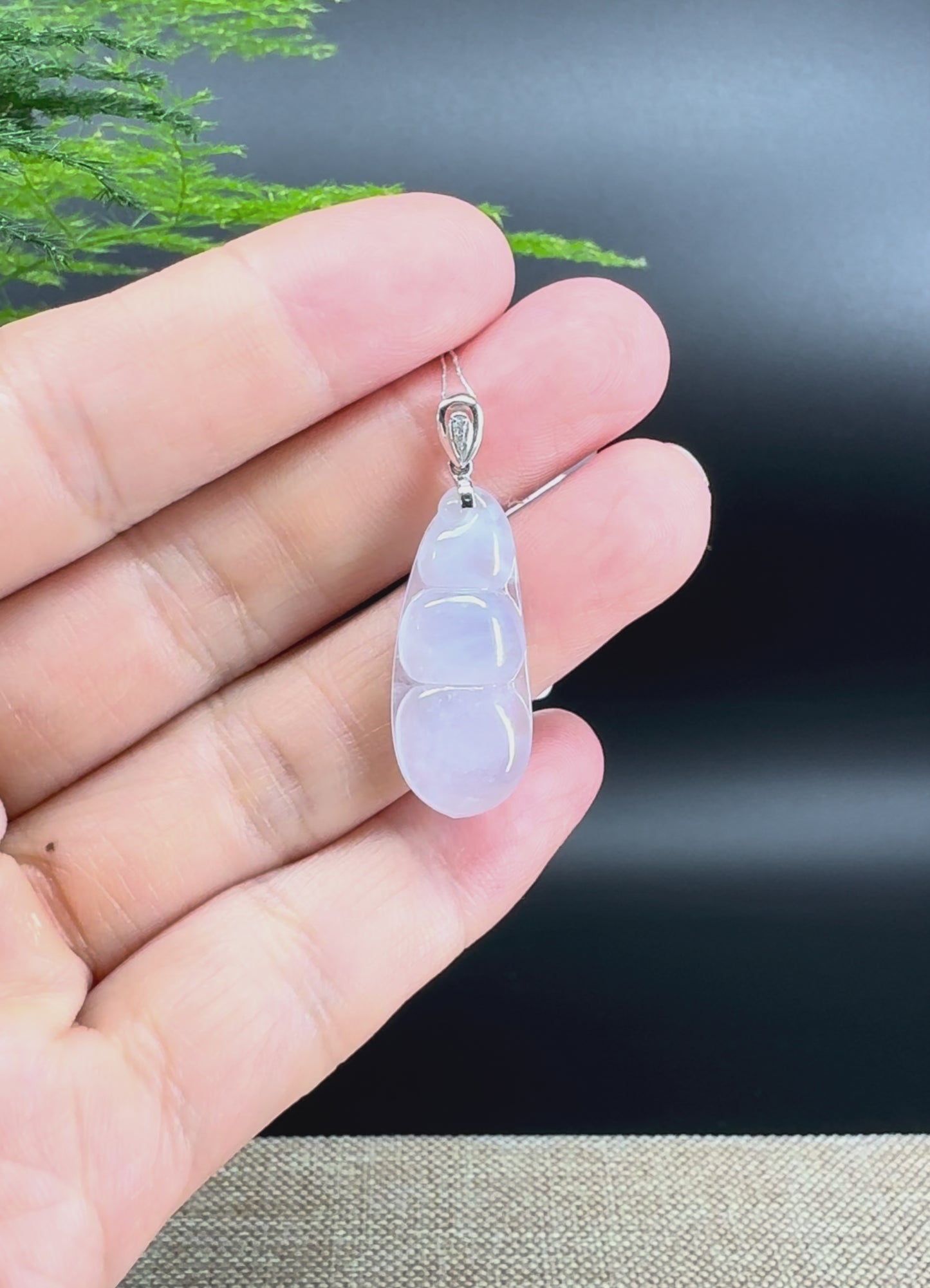 RealJade® Co. Genuine Icy Jadeite Jade Bean Necklace With 18K White Gold Bail