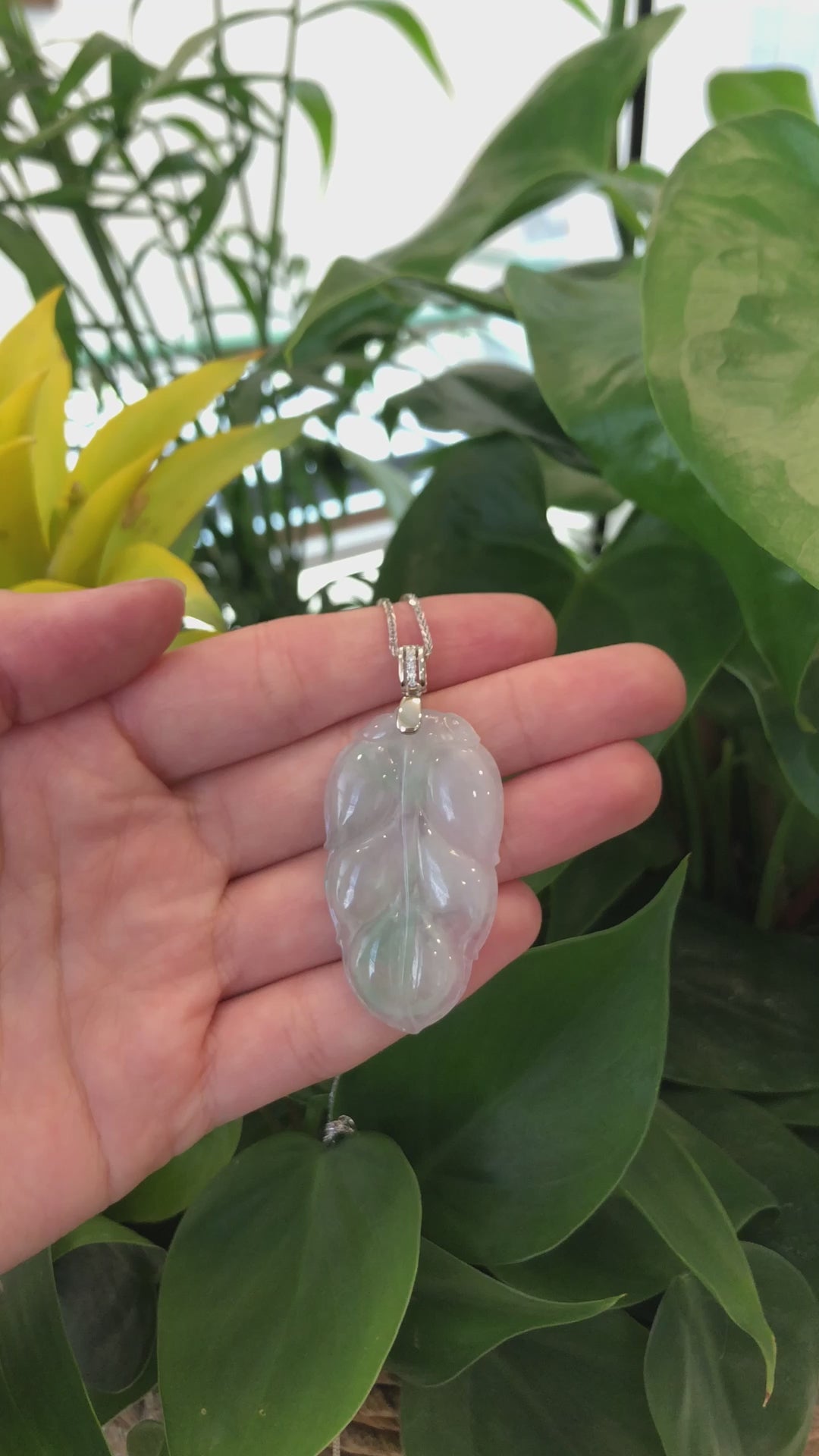 Load and play video in Gallery viewer, Genuine Ice Jadeite Jade Jin Zhi Yu Ye (Leaf) Necklace With White Gold VSI Diamond Bail
