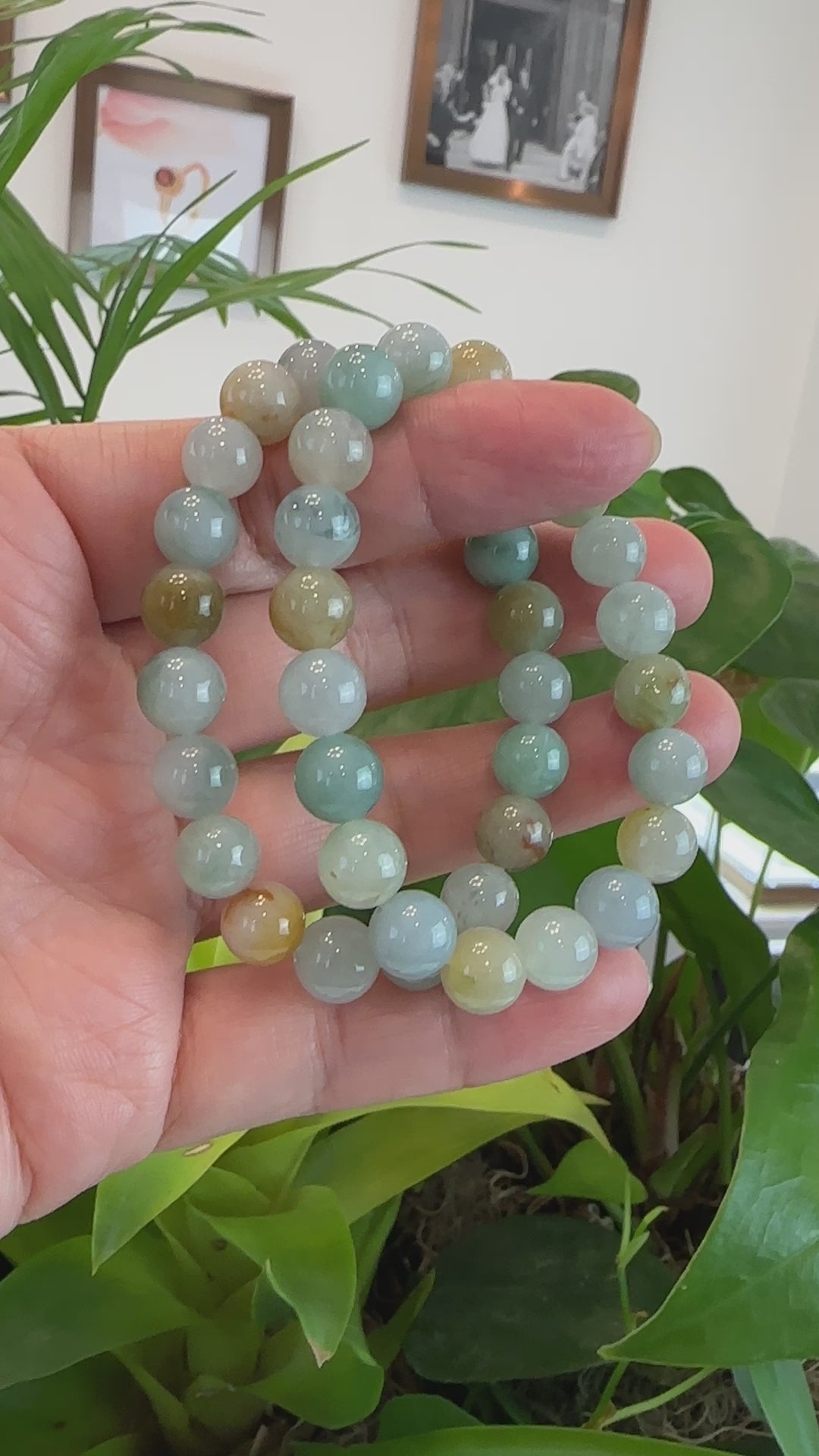 Load and play video in Gallery viewer, RealJade® Co. Genuine Jadeite Jade Round Ice Multiple Colors Beads Bracelet (9.5 mm)

