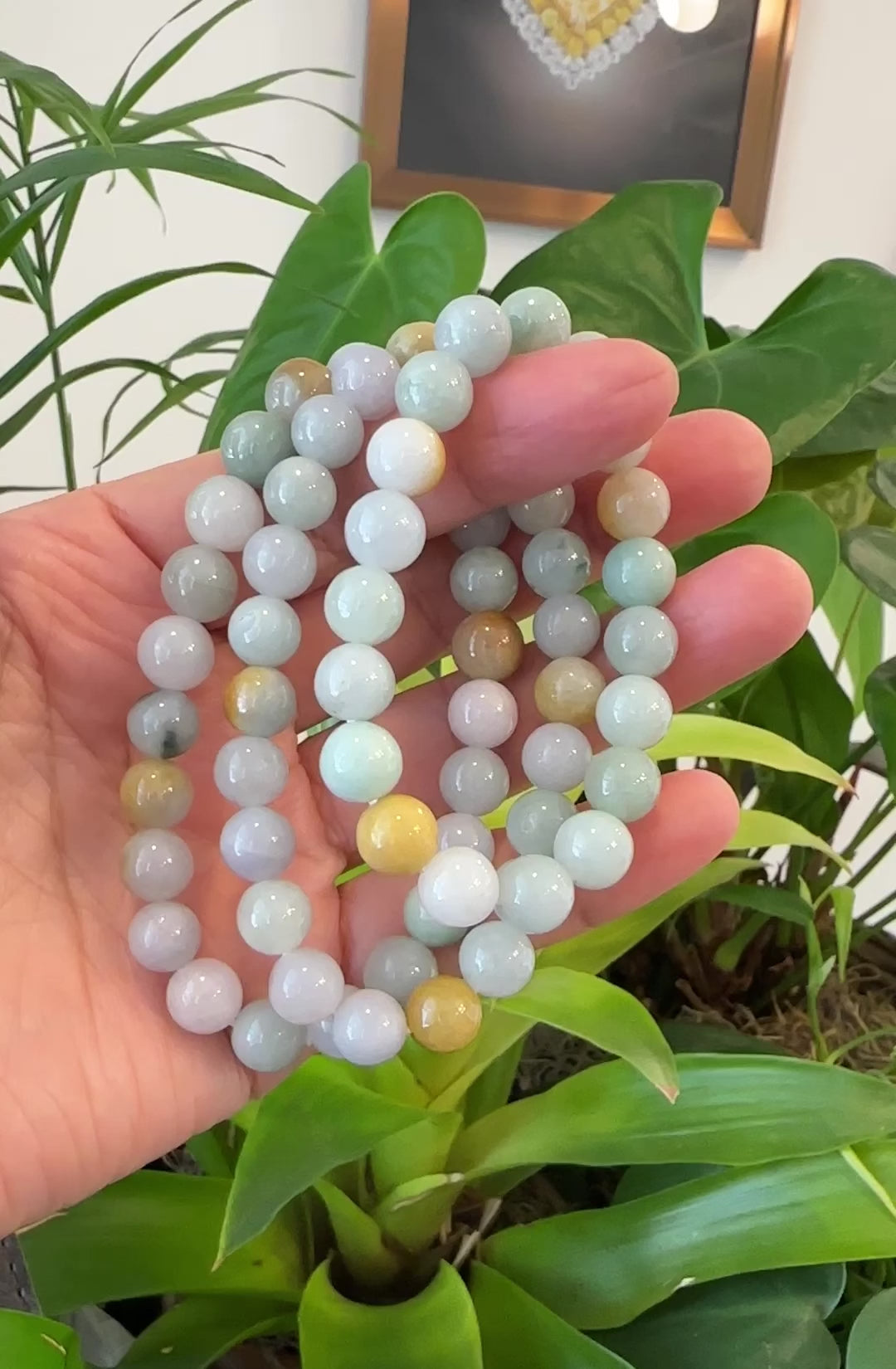 Load and play video in Gallery viewer, RealJade® Genuine Jadeite Jade Round Multiple Colors Beads Bracelet (9.5 mm)
