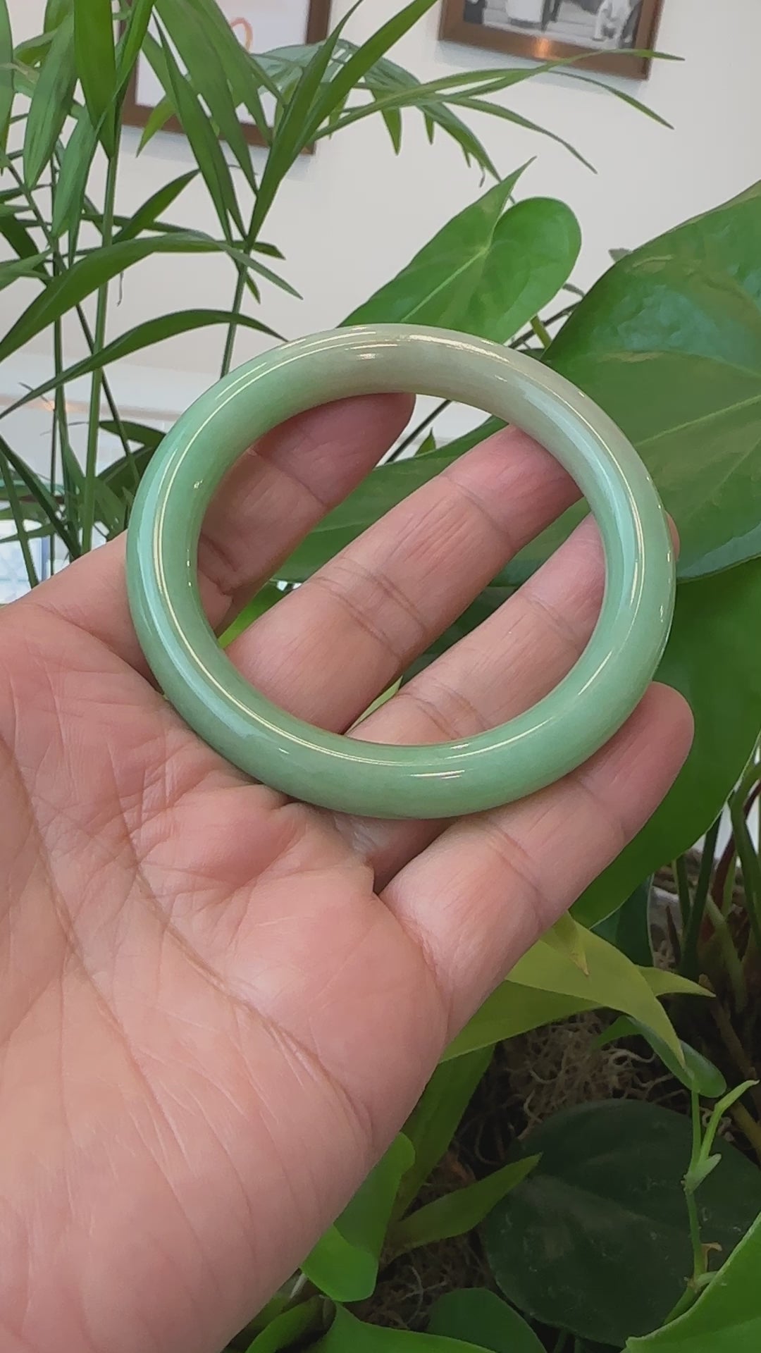 Load and play video in Gallery viewer, Genuine Burmese Yellowish Green Jadeite Jade Bangle (57.41 mm) T112
