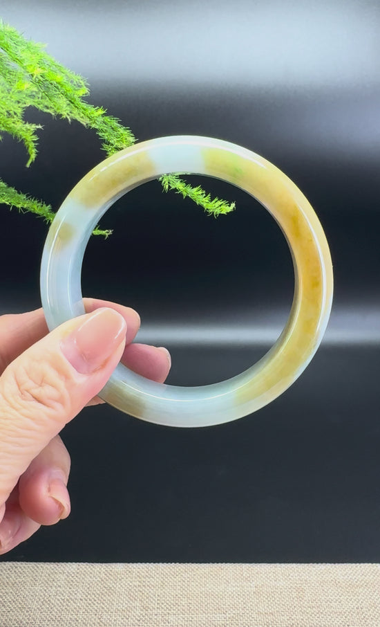 Load and play video in Gallery viewer, Genuine Burmese Yellow Green Jade Jadeite Bangle Bracelet ( 58.9mm )
