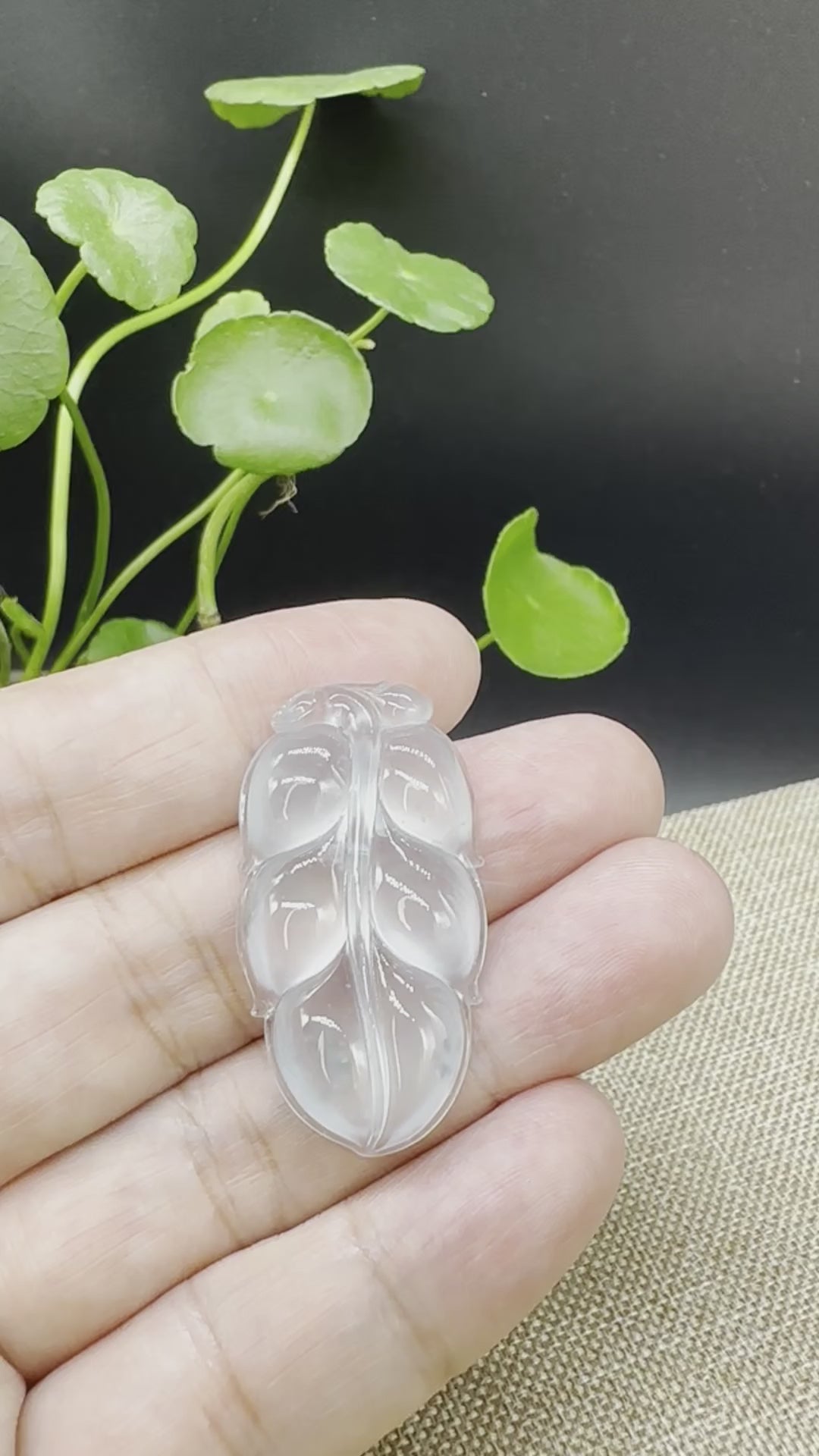 Load and play video in Gallery viewer, High end RealJade® Co. Genuine Ice Jadeite Jade Jin Zhi Yu Ye (Leaf) Necklace
