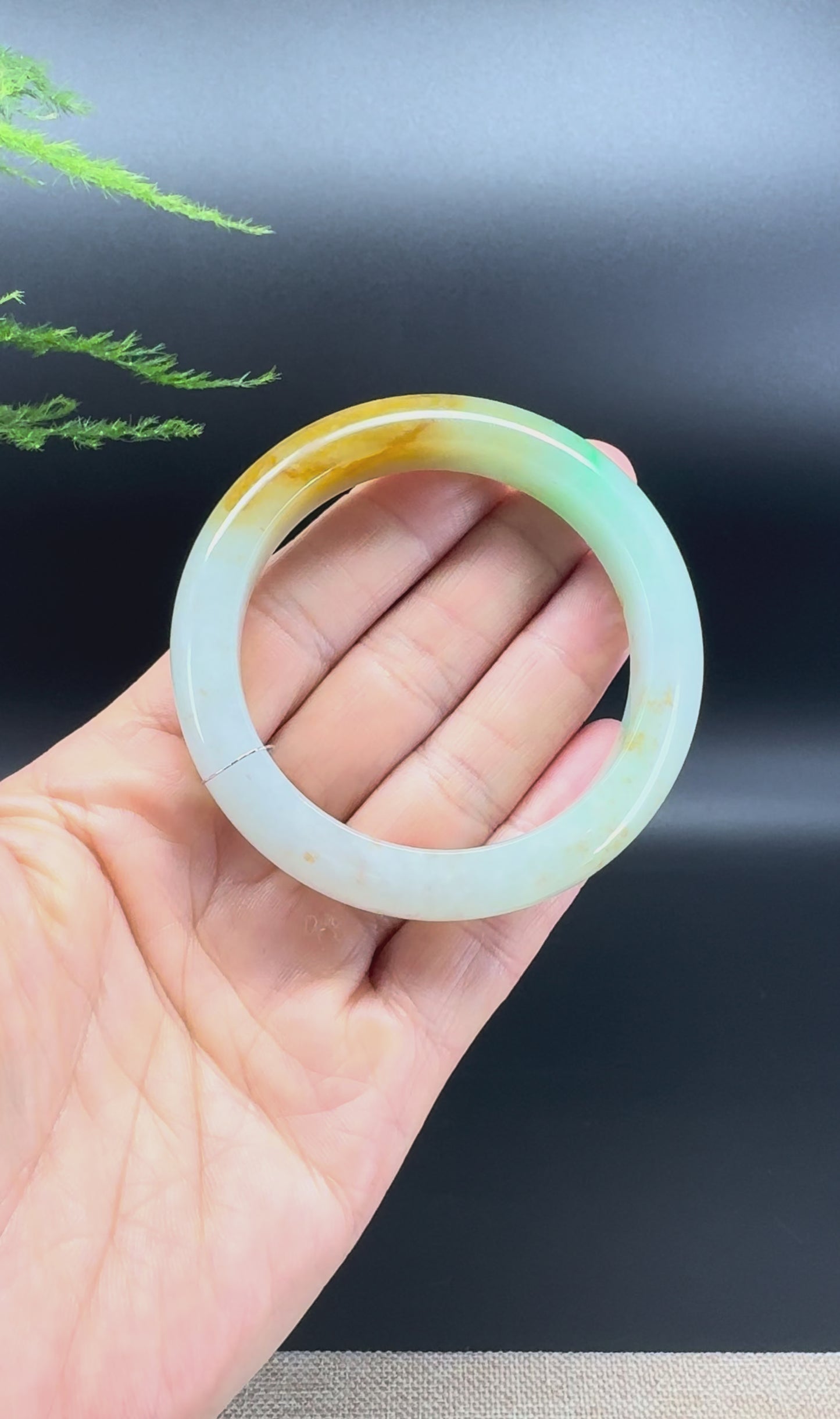 Genuine Burmese  Yellow Green Jade Jadeite Bangle Bracelet (52.6mm)