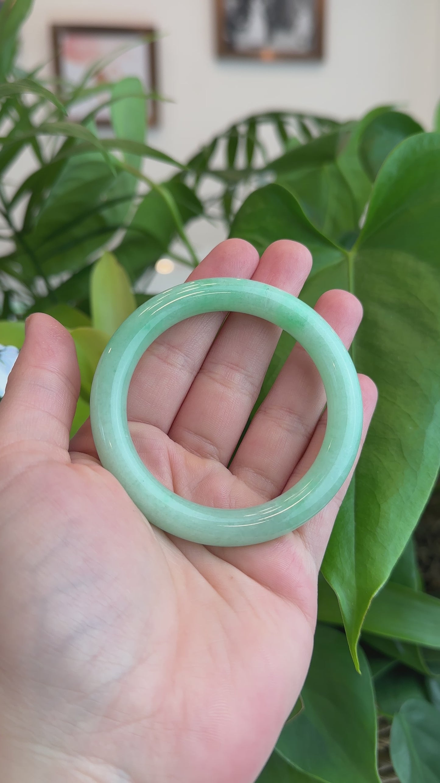 Load and play video in Gallery viewer, RealJade® Classic Bangle Genuine Burmese Apple Green Jadeite Jade Bangle Bracelet (52.59mm) #T048
