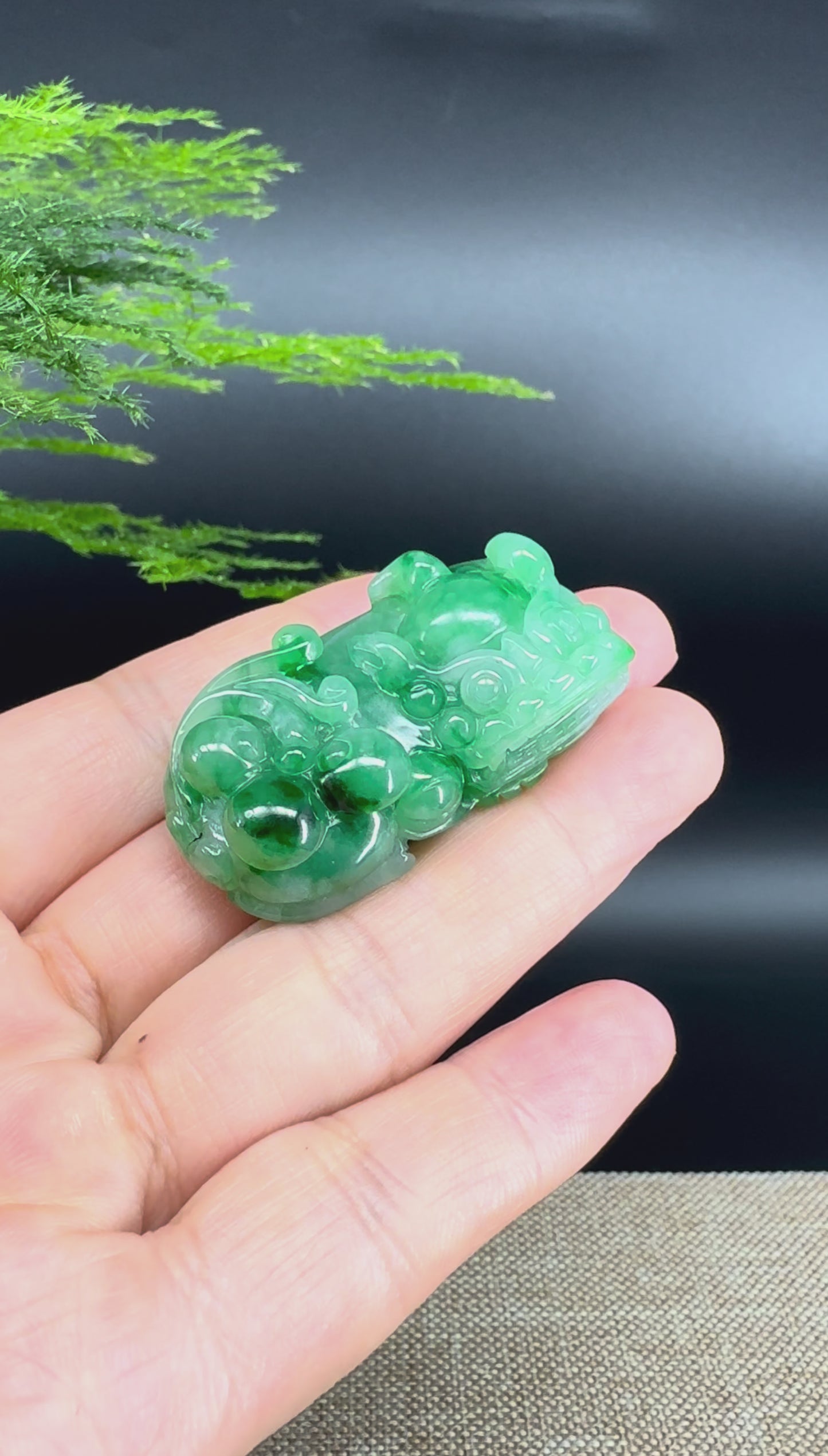 Load and play video in Gallery viewer, RealJade® Co. Pi Xiu Genuine Burmese Jadeite Jade PiXiu Pendant Necklace (FengShui Lucky)
