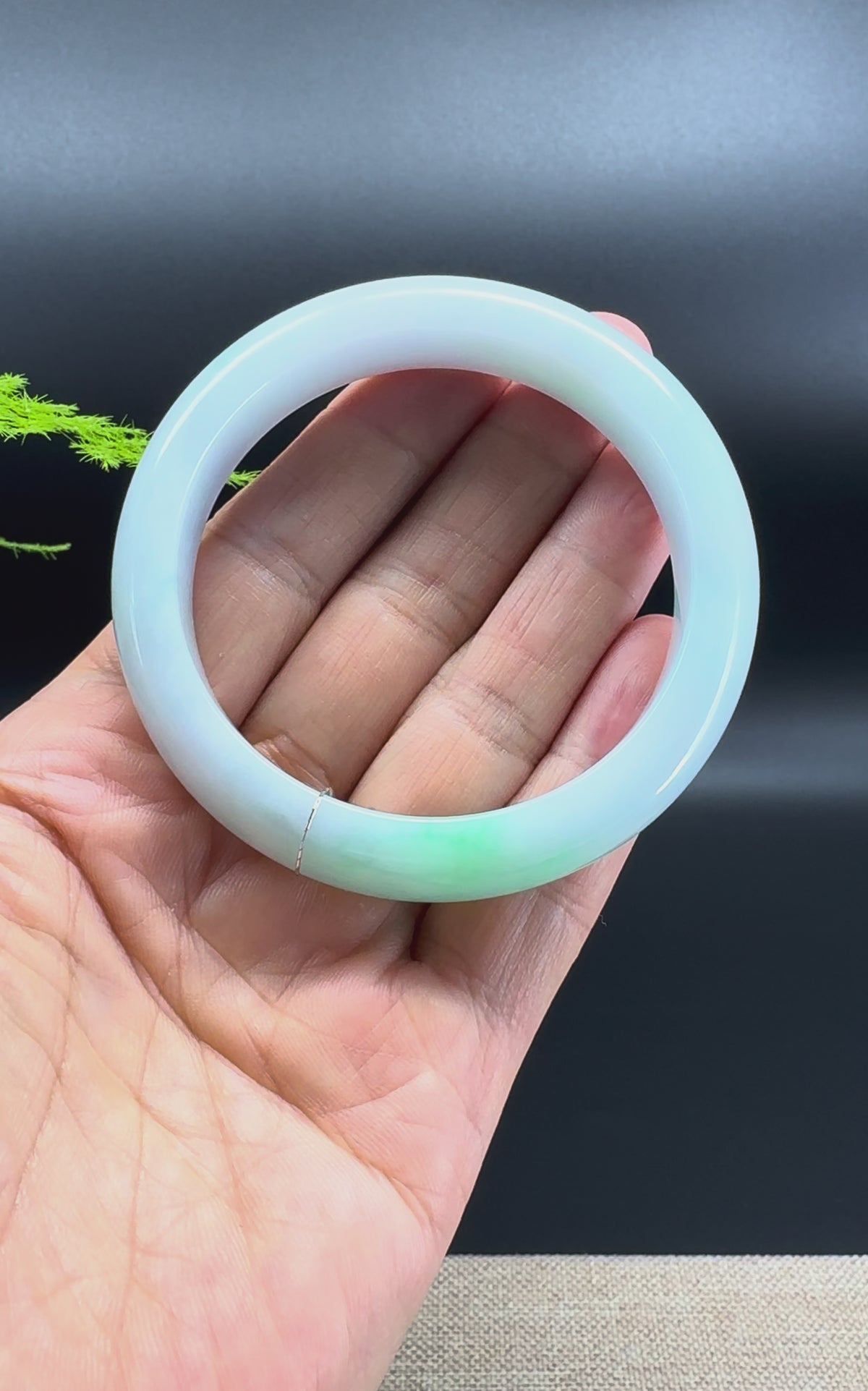 Genuine Burmese White Green (BDQ) Jadeite Jade Bangle Bracelet ( 55.1mm )