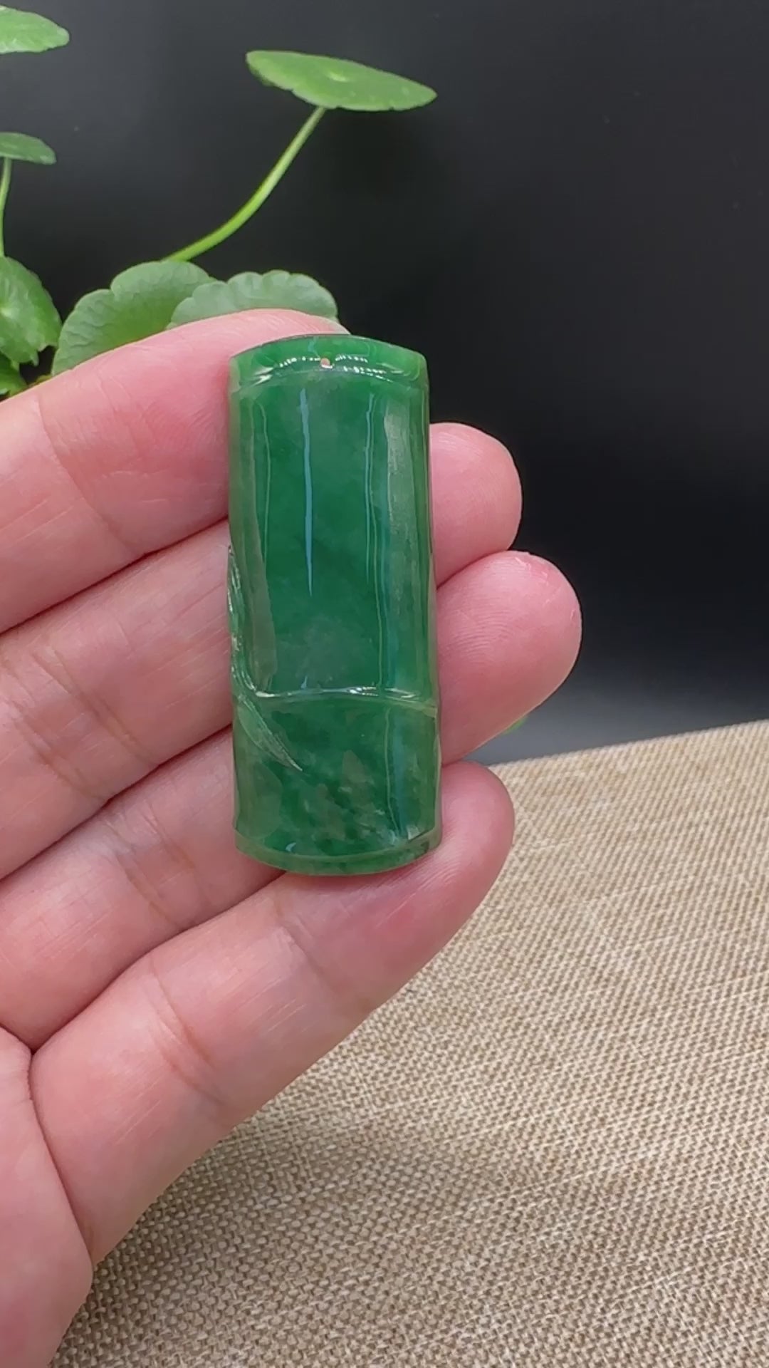 Load and play video in Gallery viewer, Genuine Green Jadeite Jade &amp;quot;Good Luck Bamboo&amp;quot; Pendant Necklace

