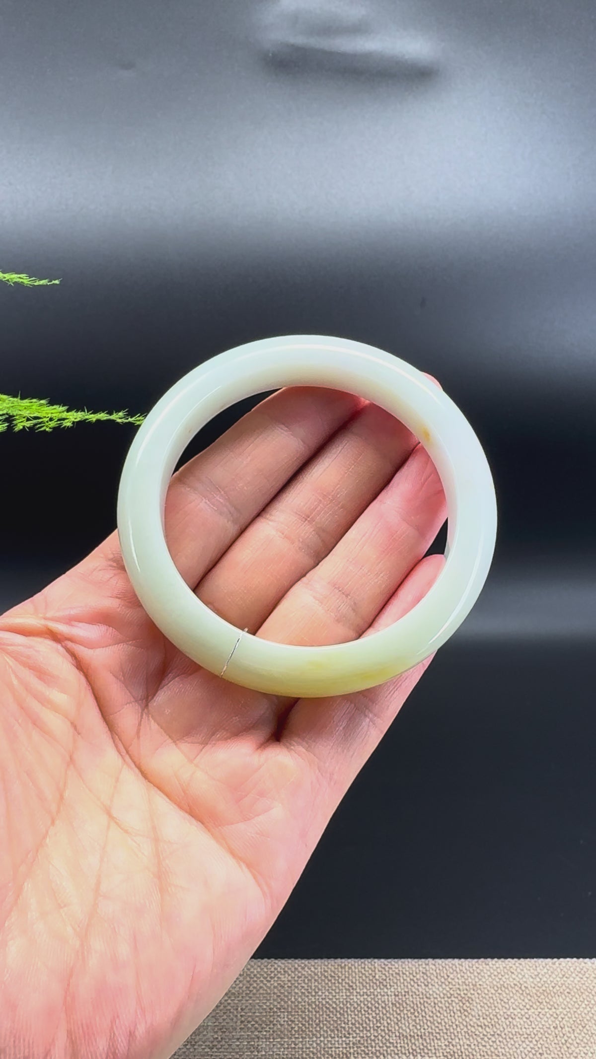 Genuine Burmese Yellow Green Jadeite Jade Bangle Bracelet ( 55.6mm )