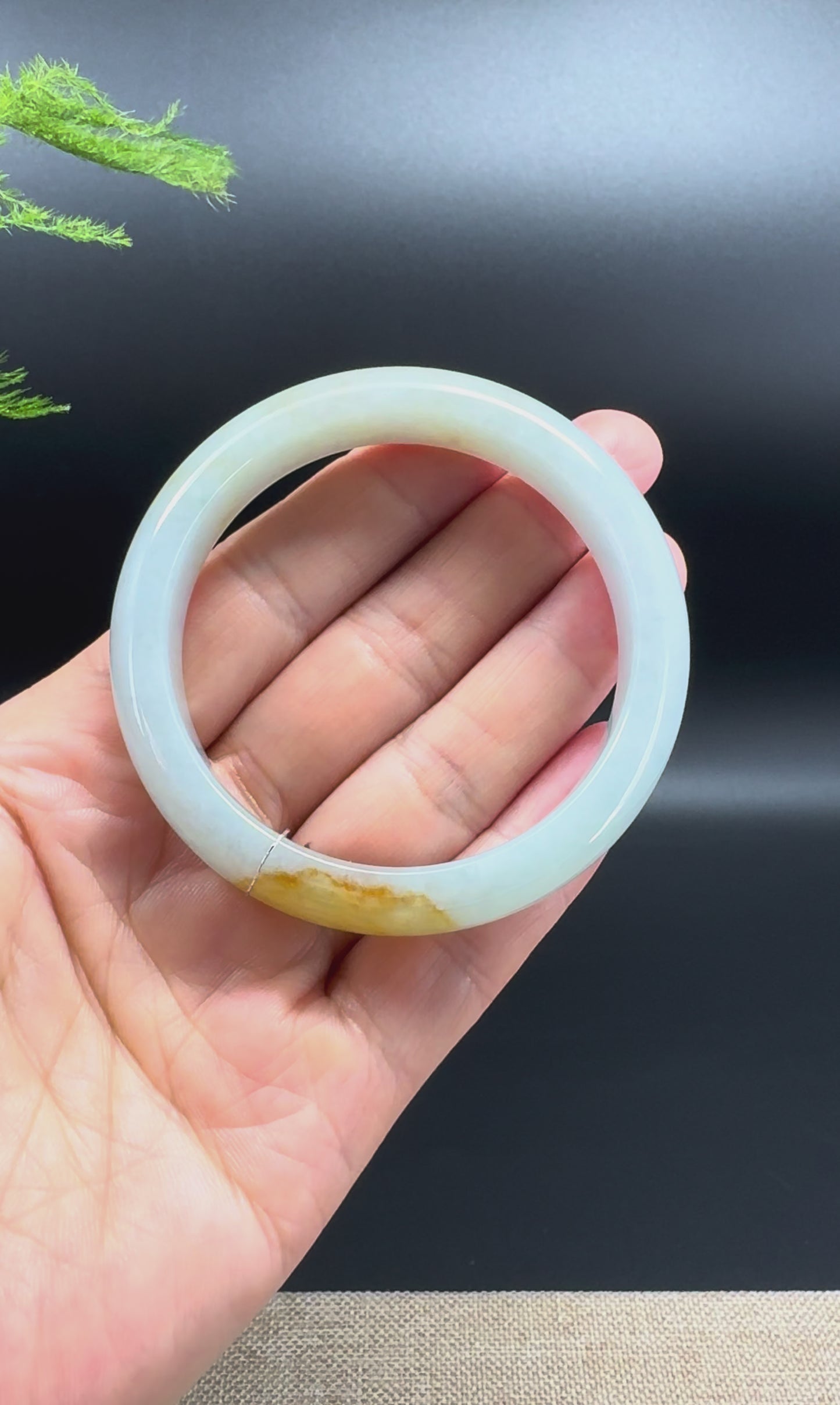 Genuine Burmese Yellow Green Jade Jadeite Bangle Bracelet ( 53.7mm )