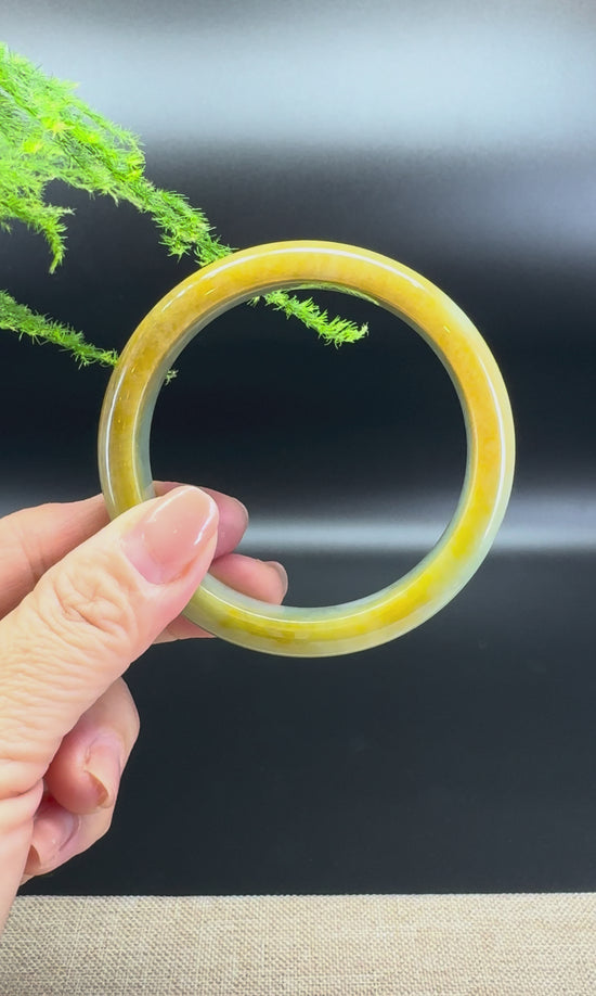 Load and play video in Gallery viewer, Genuine Burmese Yellow Green Jade Jadeite Bangle Bracelet ( 58.9mm )
