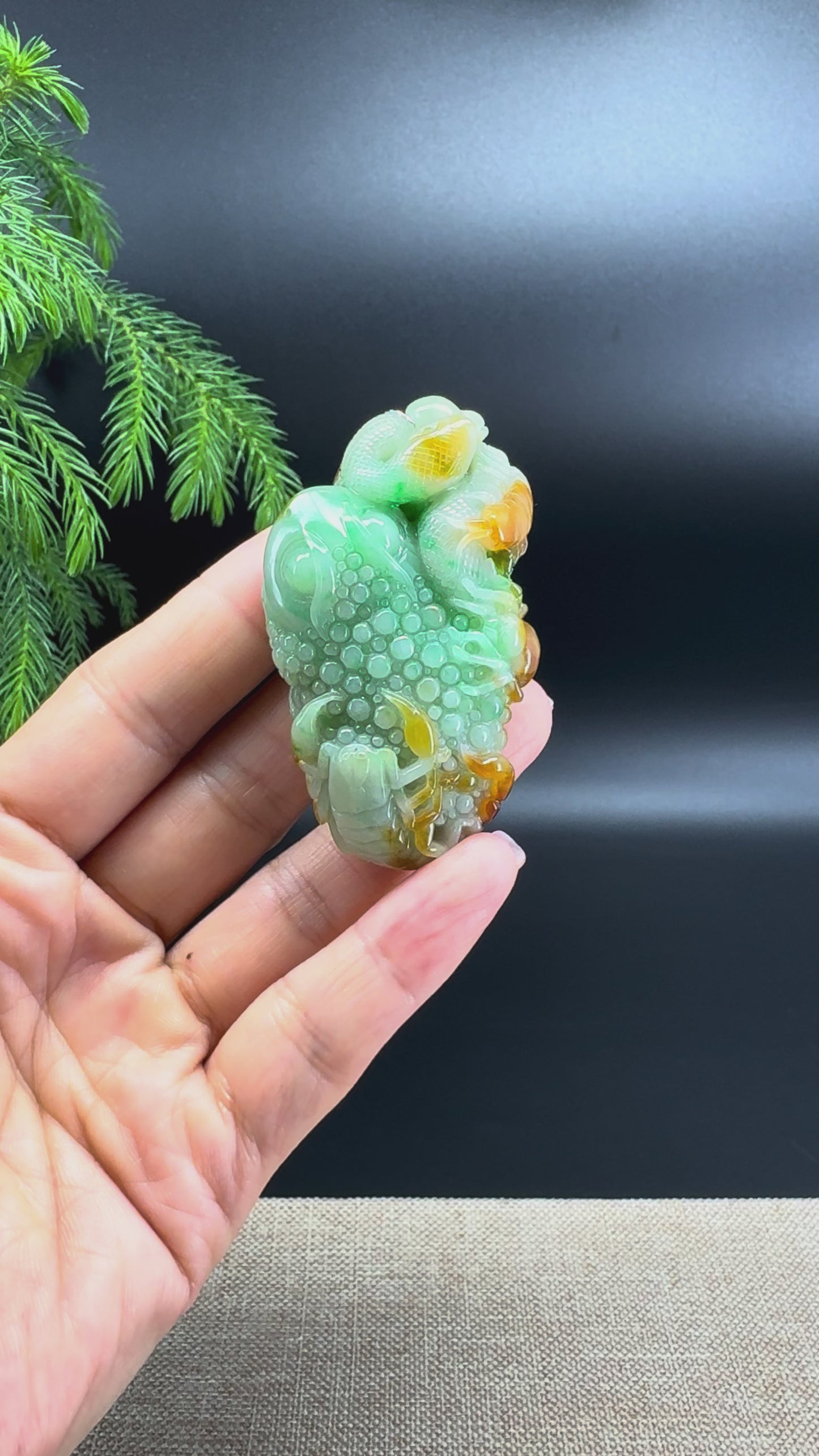 RealJade® Co. Natural Yellow Green Jadeite Jade 'Five Poisons' Pendant
