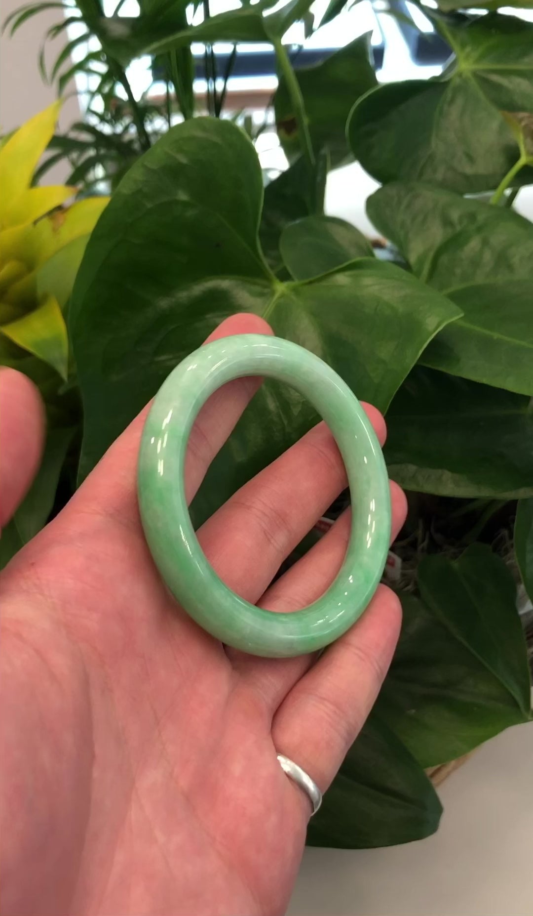 Load and play video in Gallery viewer, RealJade® Classic Bangle Genuine Burmese Apple Green Jadeite Jade Bangle Bracelet Real Jade Jadeite Jewelry (53.6 mm) #441
